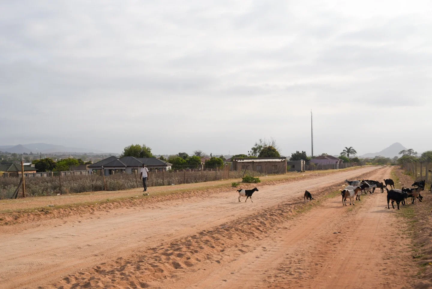 20250918_Qhubeka_Mohumi_Absa (54).jpg