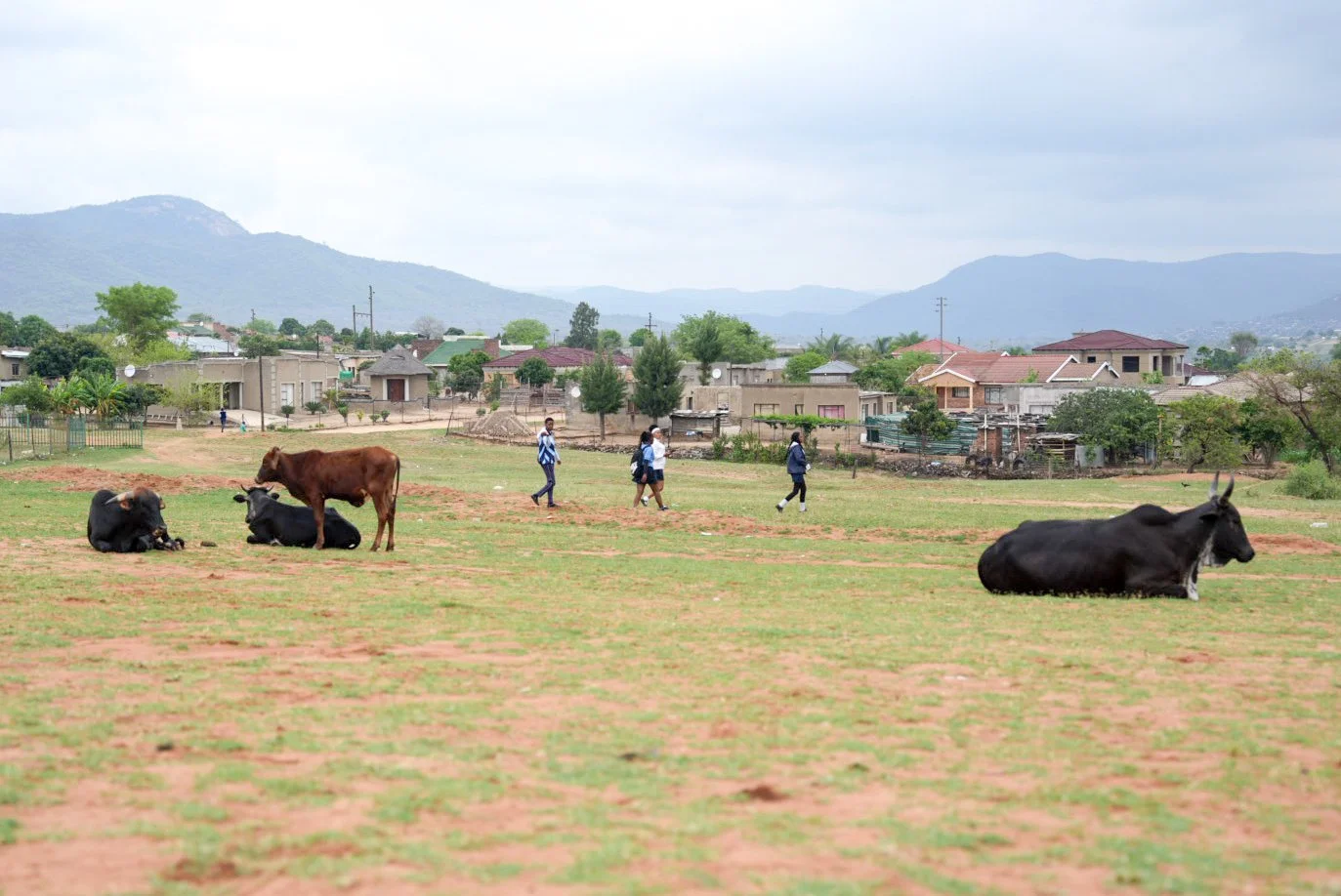 20251030_Qhubeka_Kgolakaleleme_Absa_ZZ2 (32).jpg