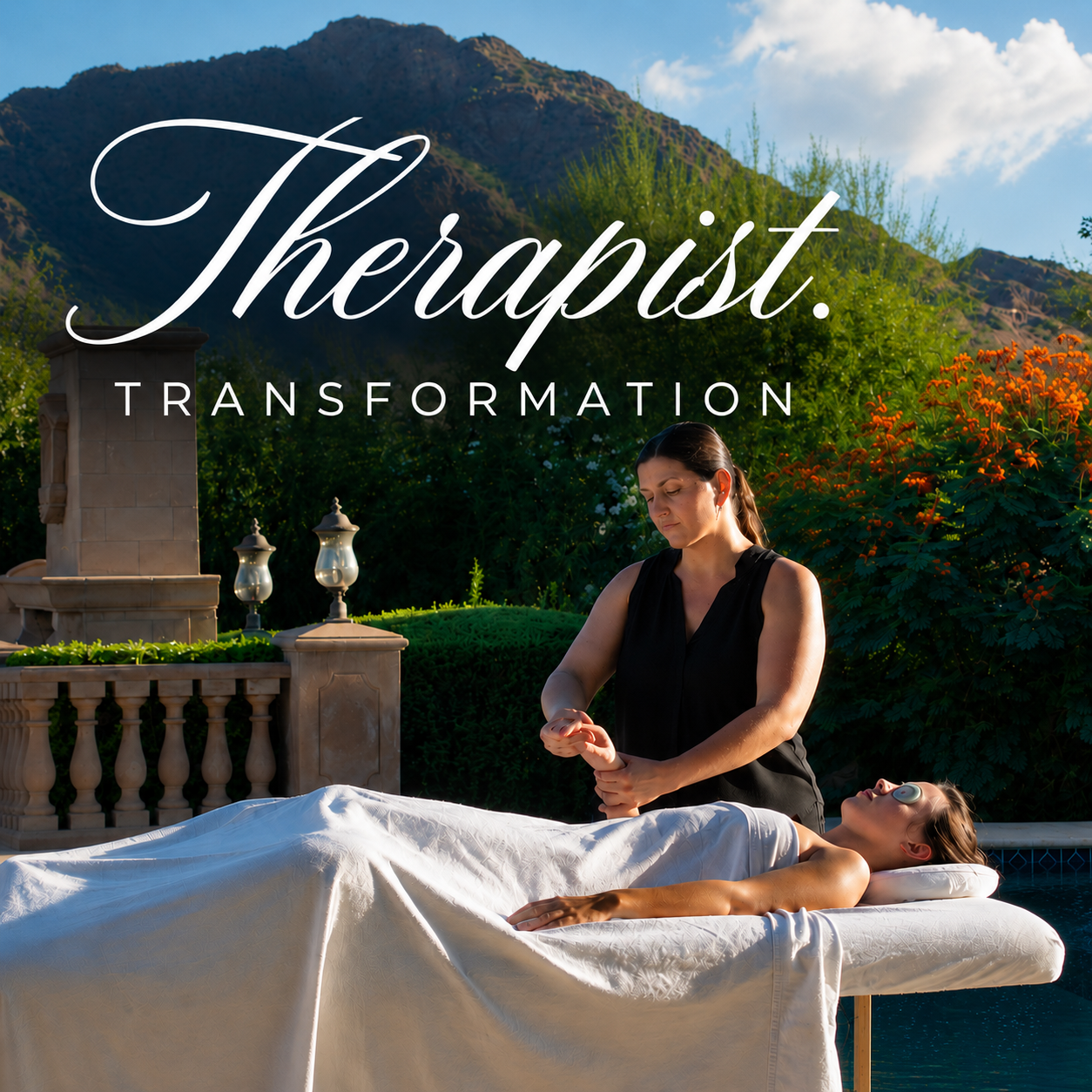 Therapist Transformation Program