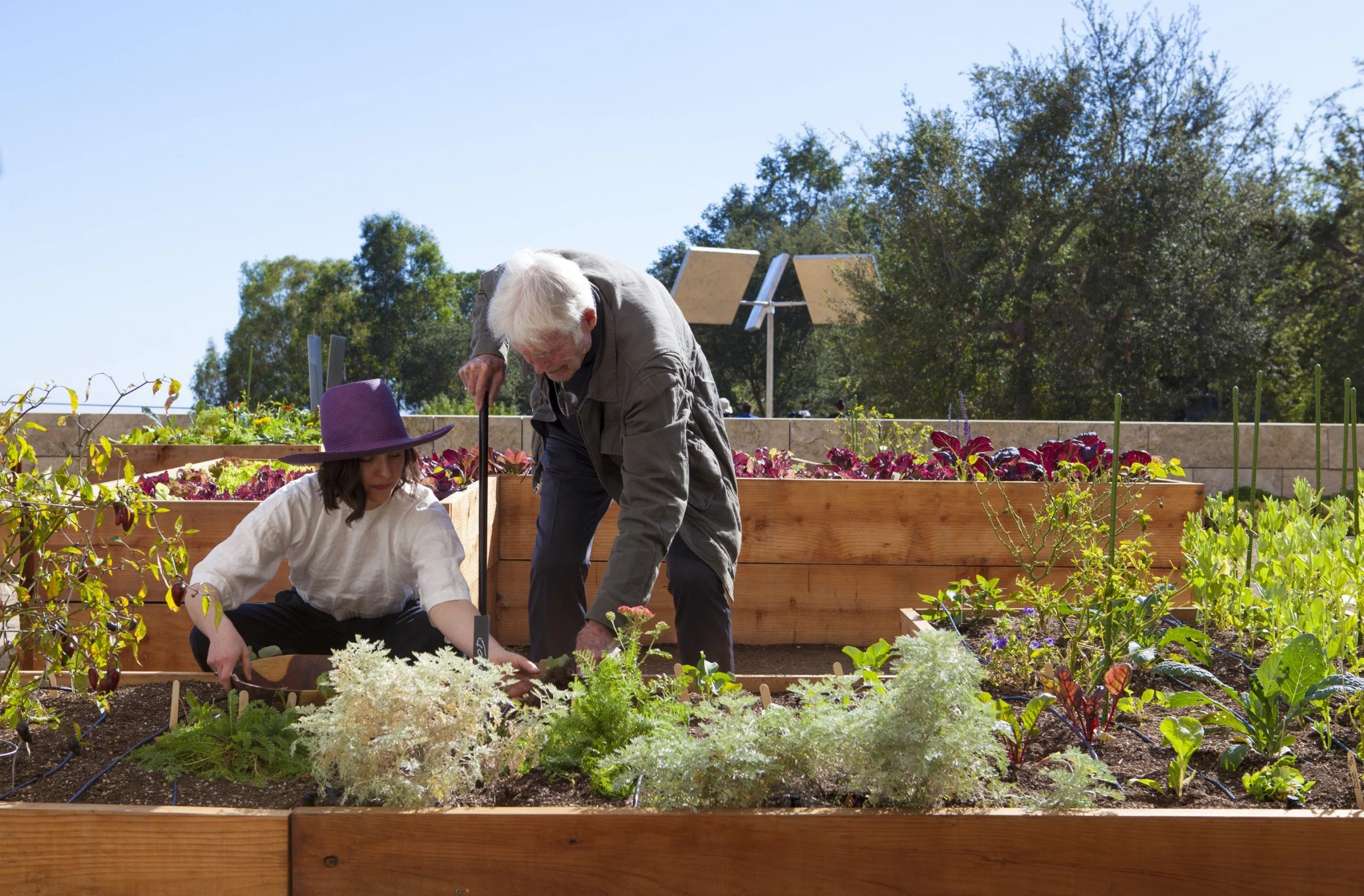 Getty salad garden-1706872263355.jpg
