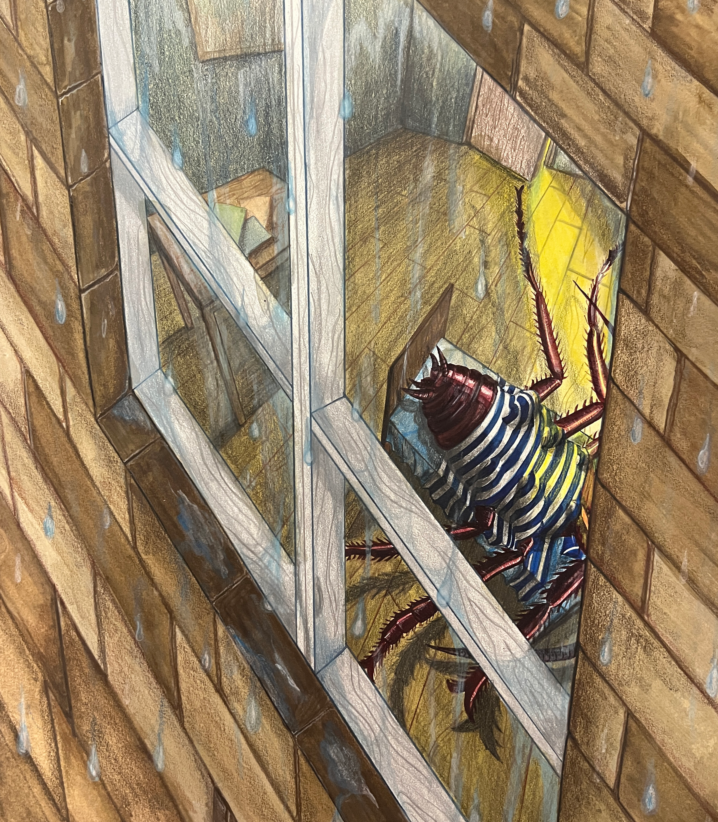 The Metamorphosis
