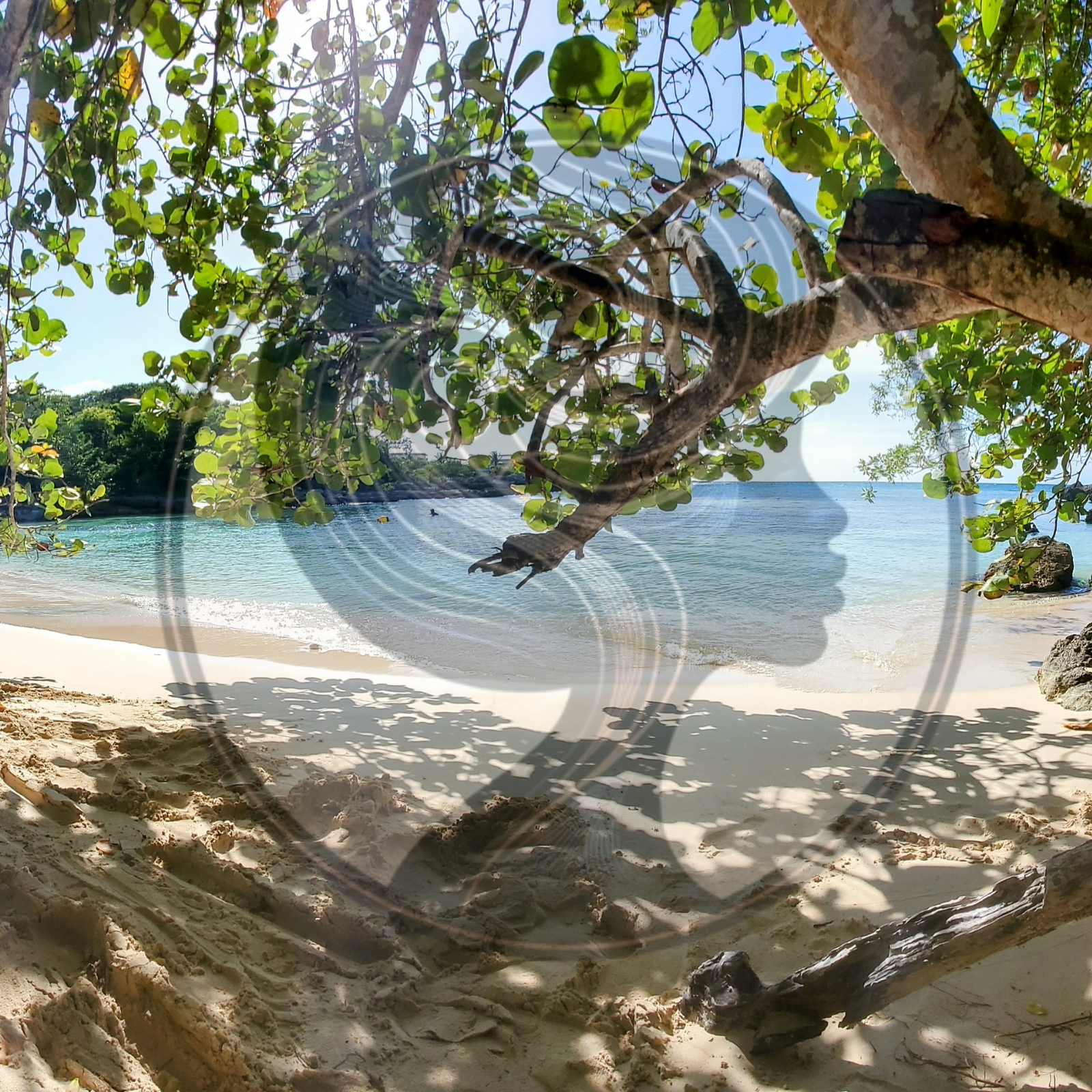 EC Website Thumbnail Product Pix Square Template (2).png