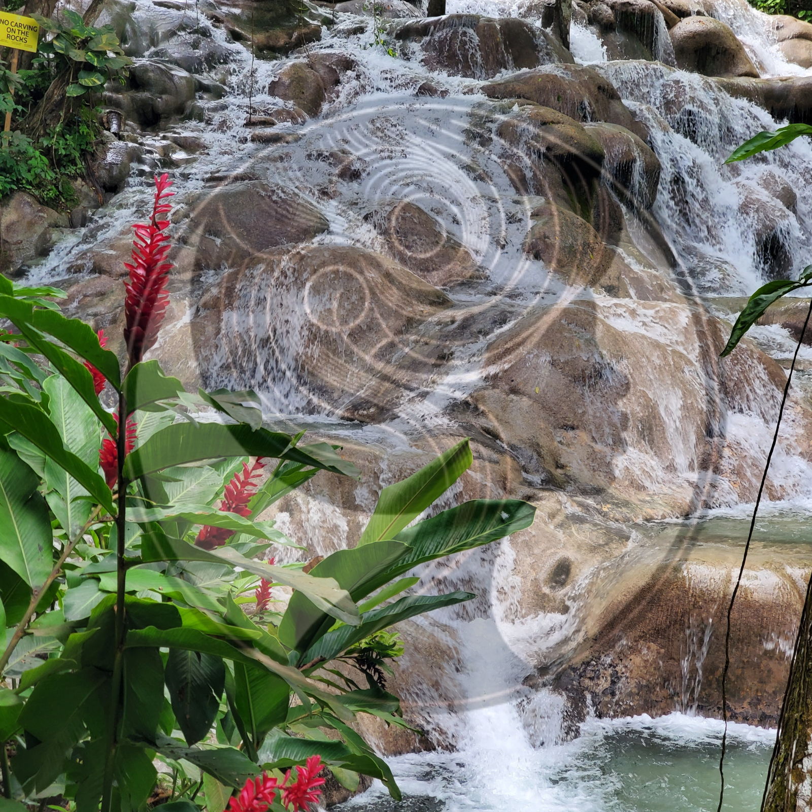 EC Website Thumbnail Product Pix Square Template (5).png