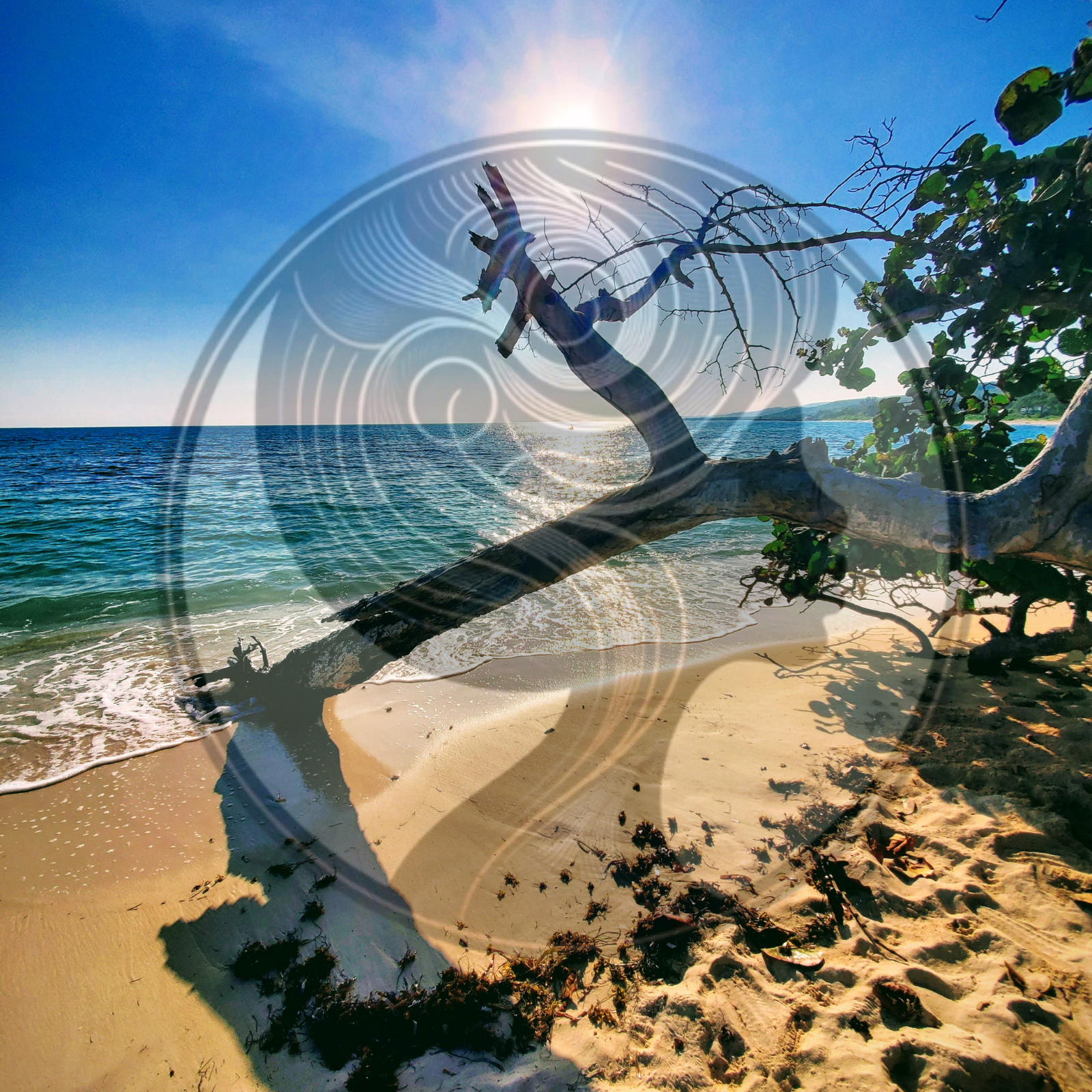 EC Website Thumbnail Product Pix Square Template (10).png