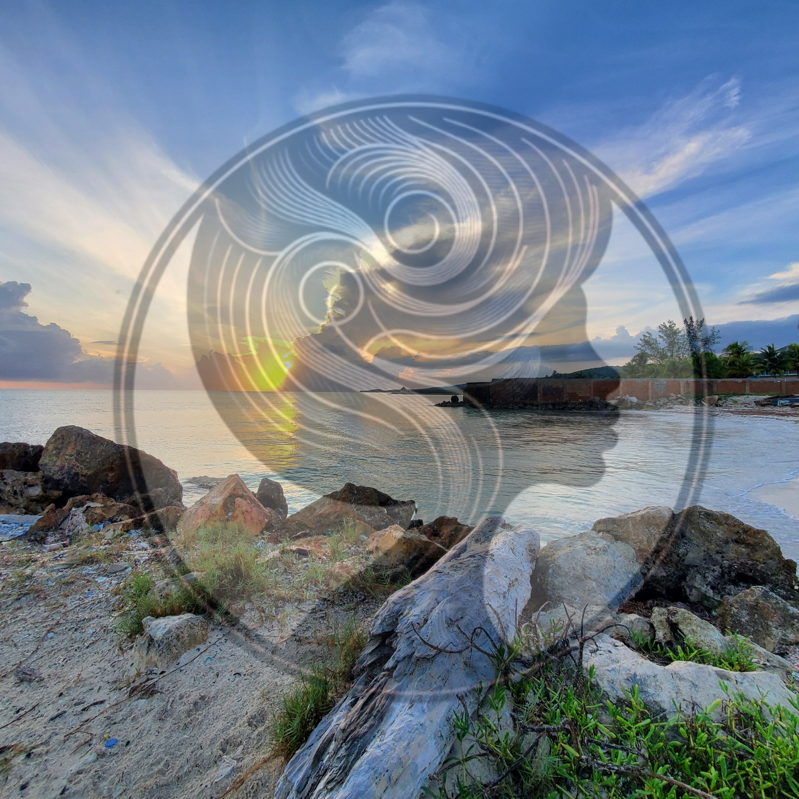 EC Website Thumbnail Product Pix Square Template (8).png