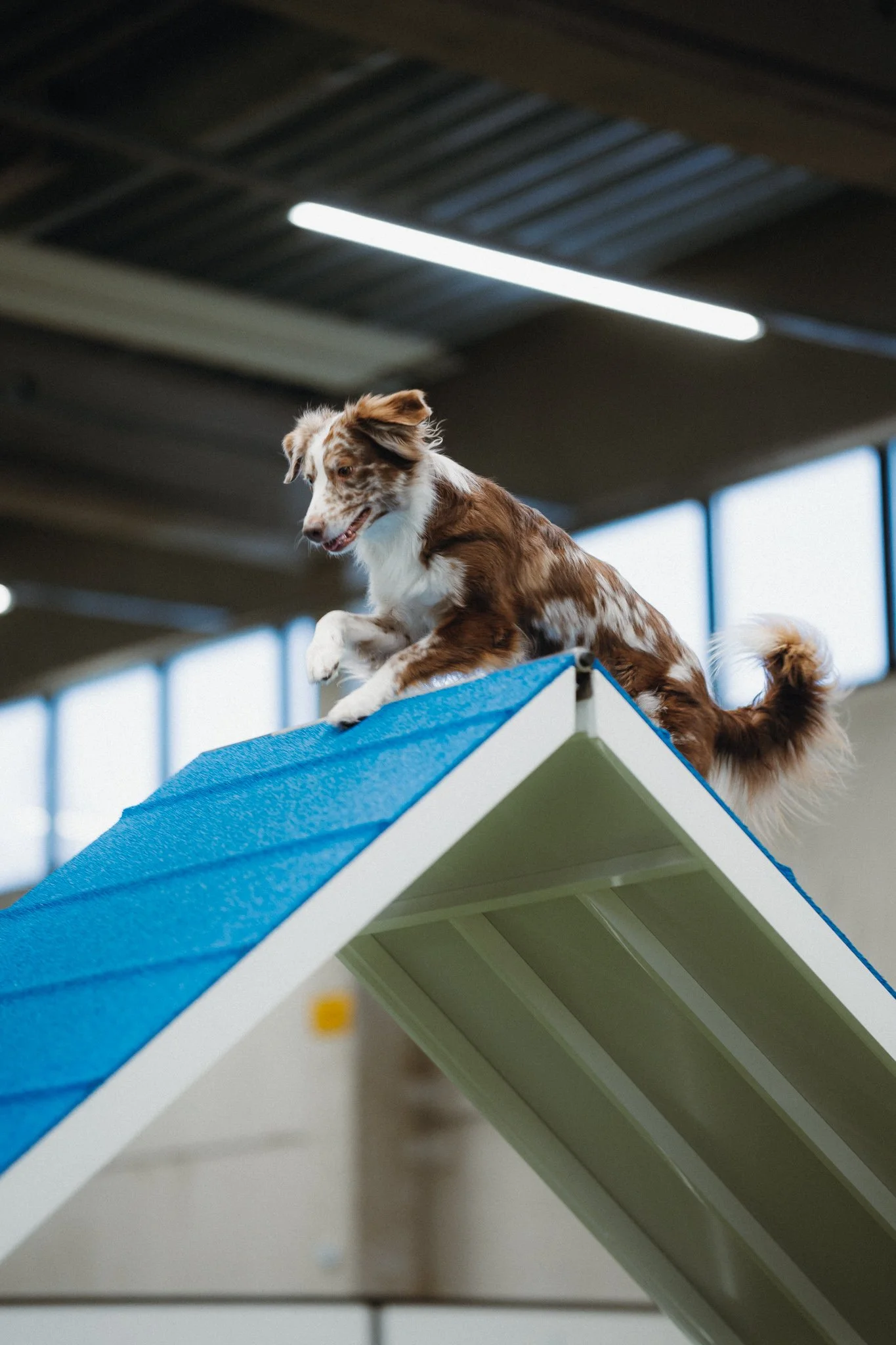 Stuntti-A katla mini.jpg