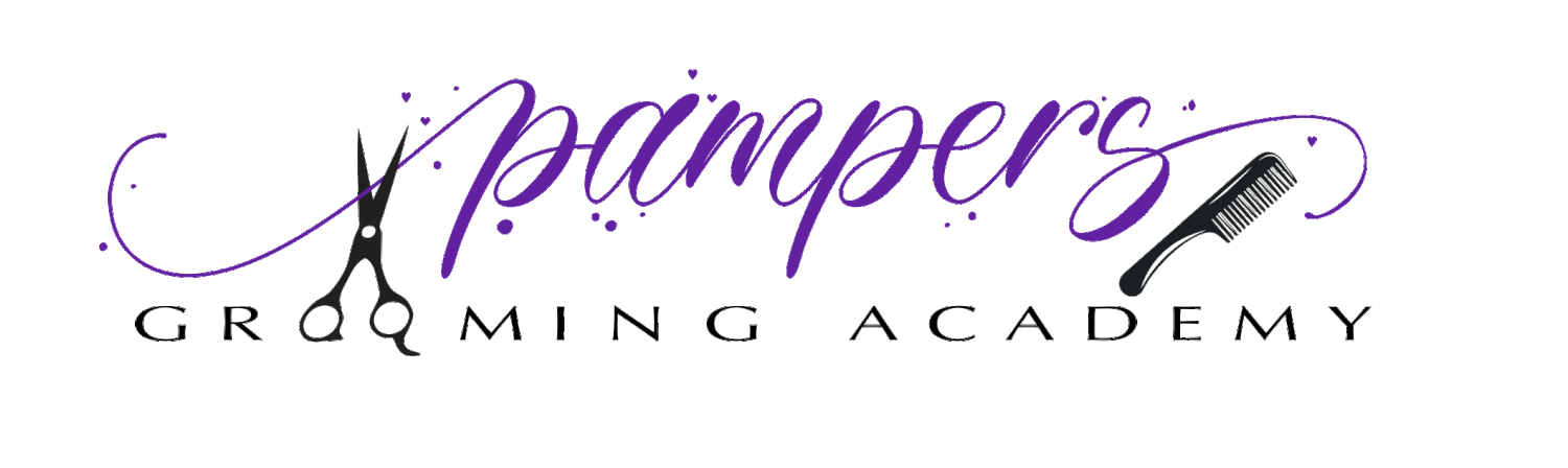 Pampers Grooming Academy