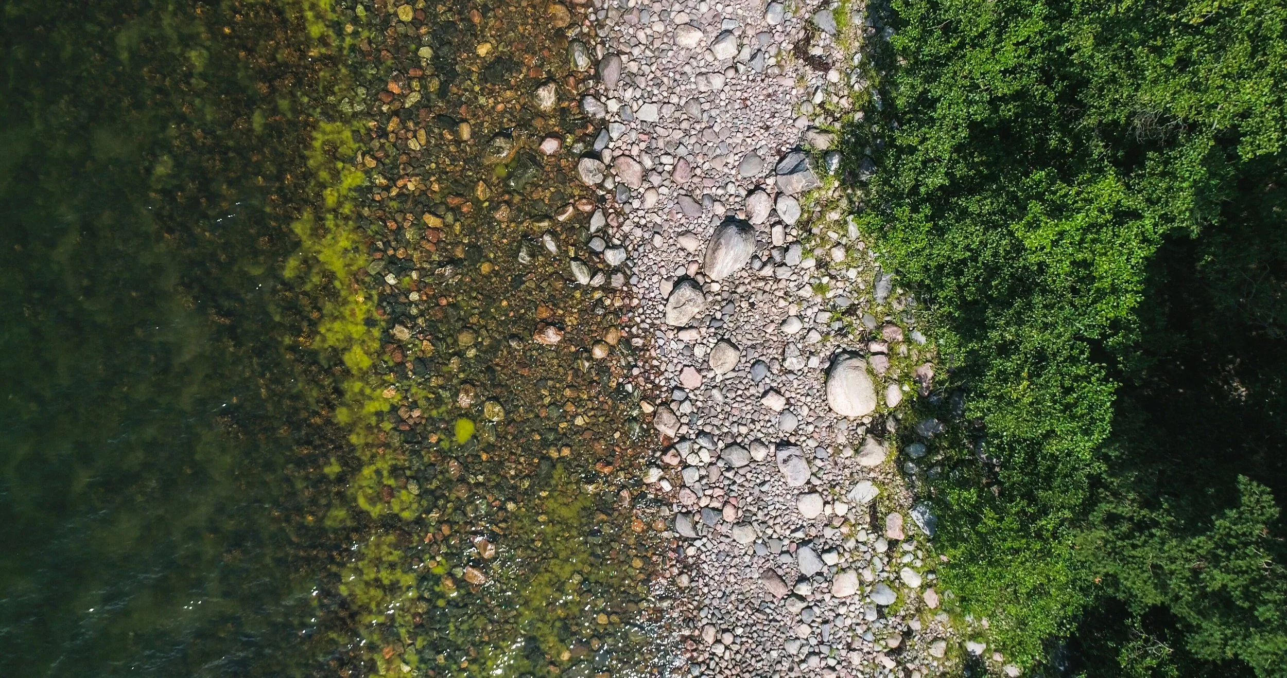 Vastuullisuus osana Welldonen toimintaa