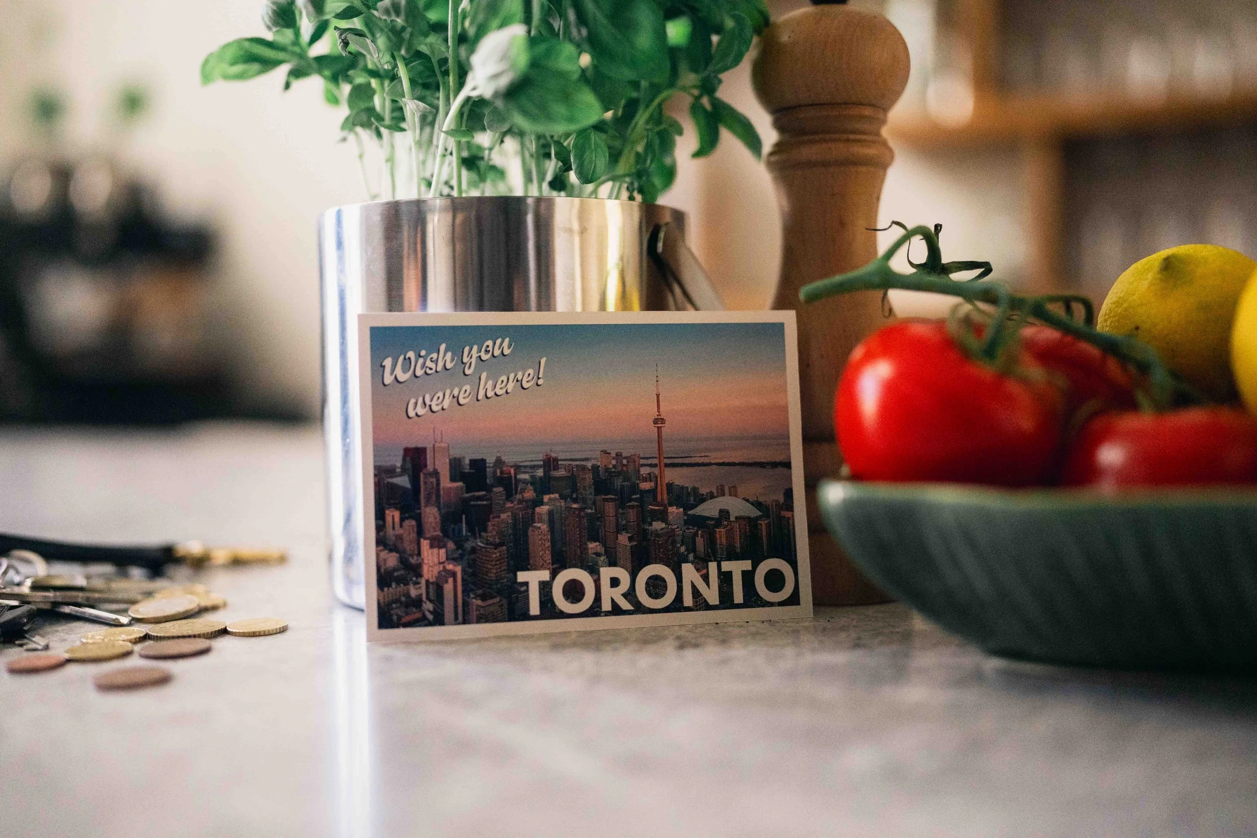 VCT EMEA Kickoff 19.jpg