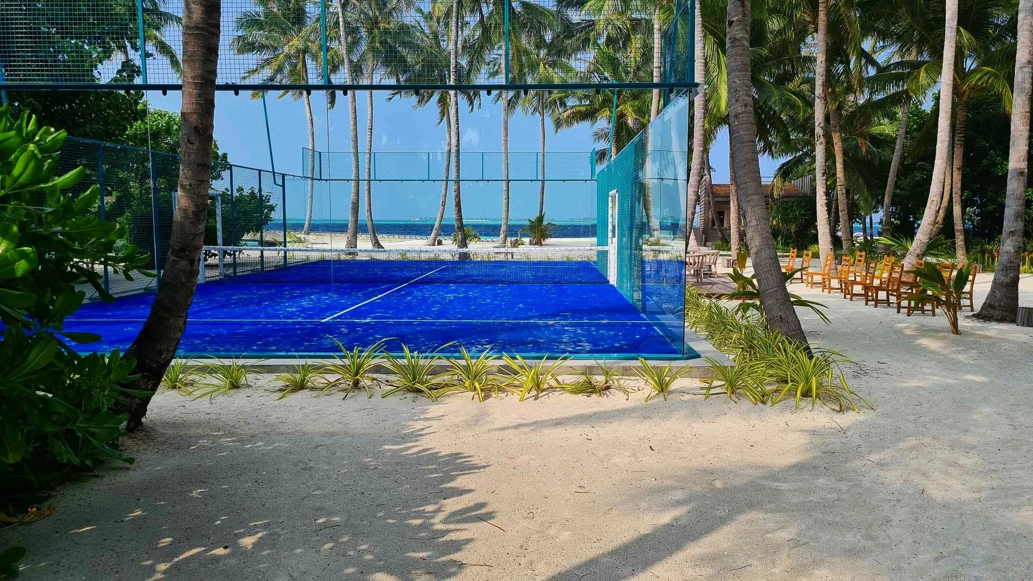 Beachside scene with a blue Padel court surrounded by palm trees, sandy ground, and outdoor seating area with chairs.