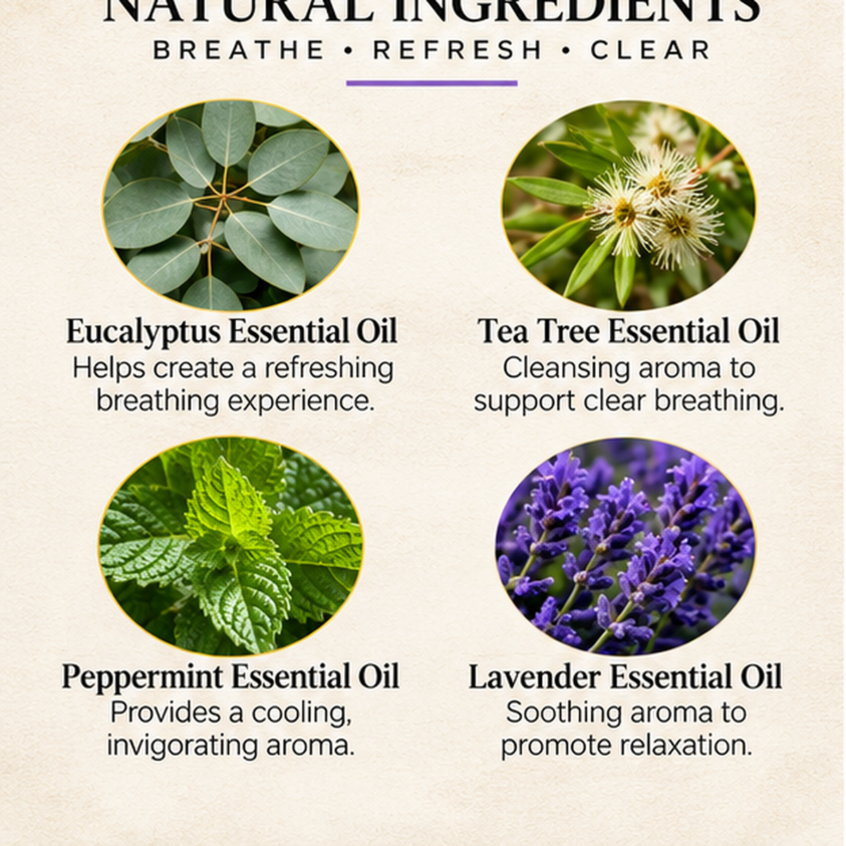 03_Ingredients.png