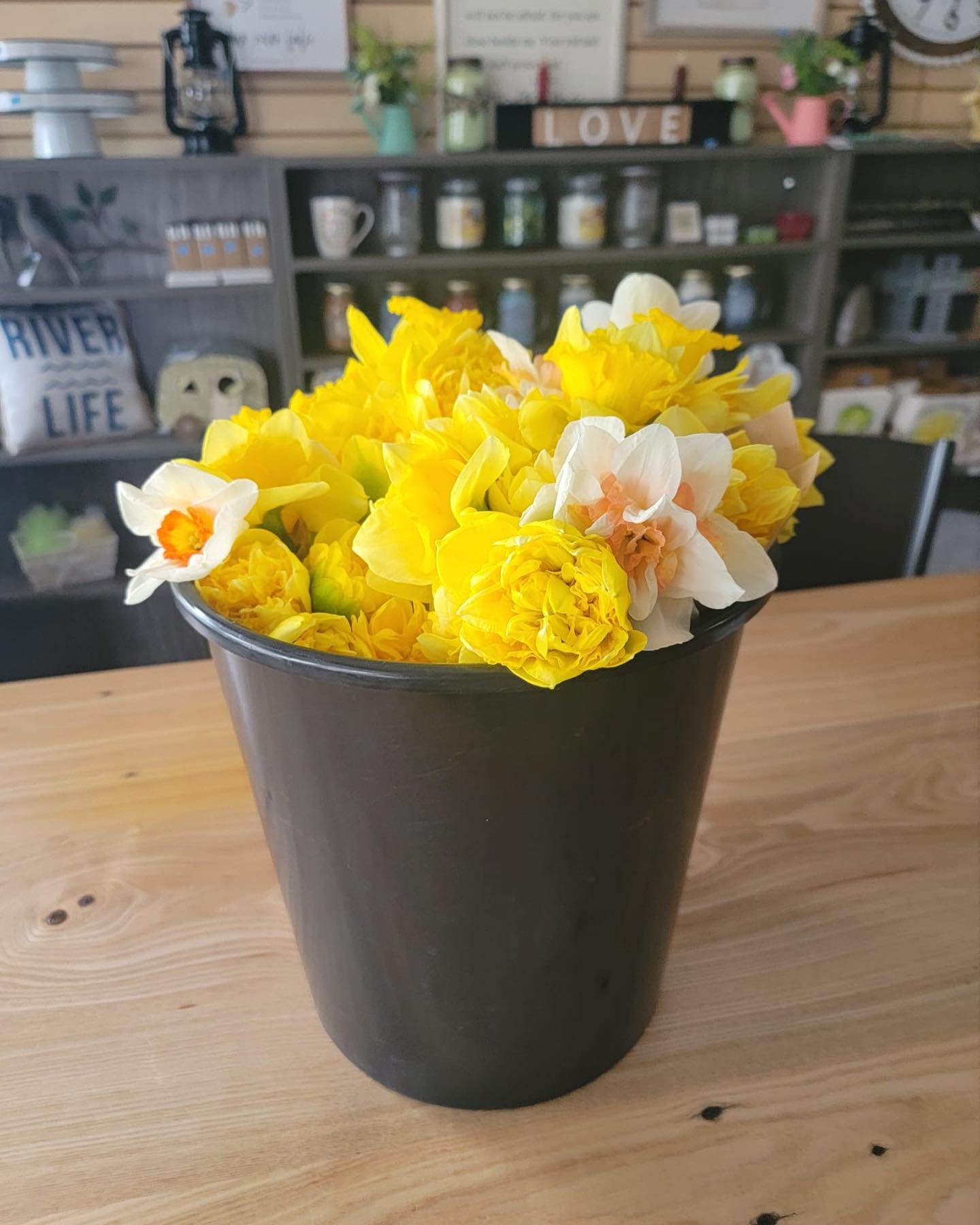 Fresh daffodils are in! A perfect start to a spring weekend 🌼20.99 #shoplocalck #chatham #shopck #southwesternontario #kentbridge