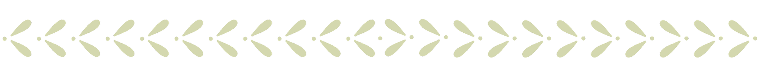 A mint green border on The NICU Translator website.