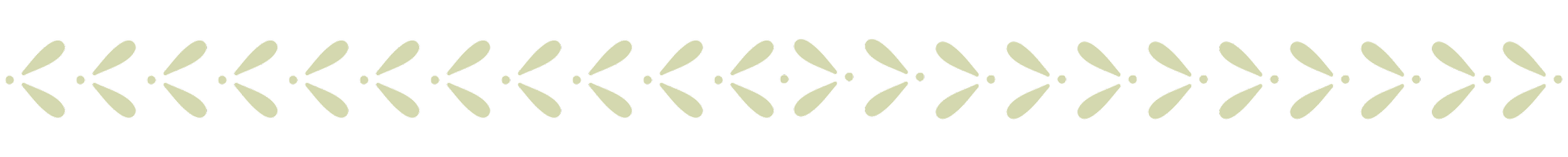 The NICU Translator border in mint green.