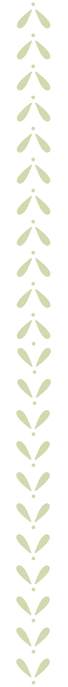 The NICU Translator border in mint.