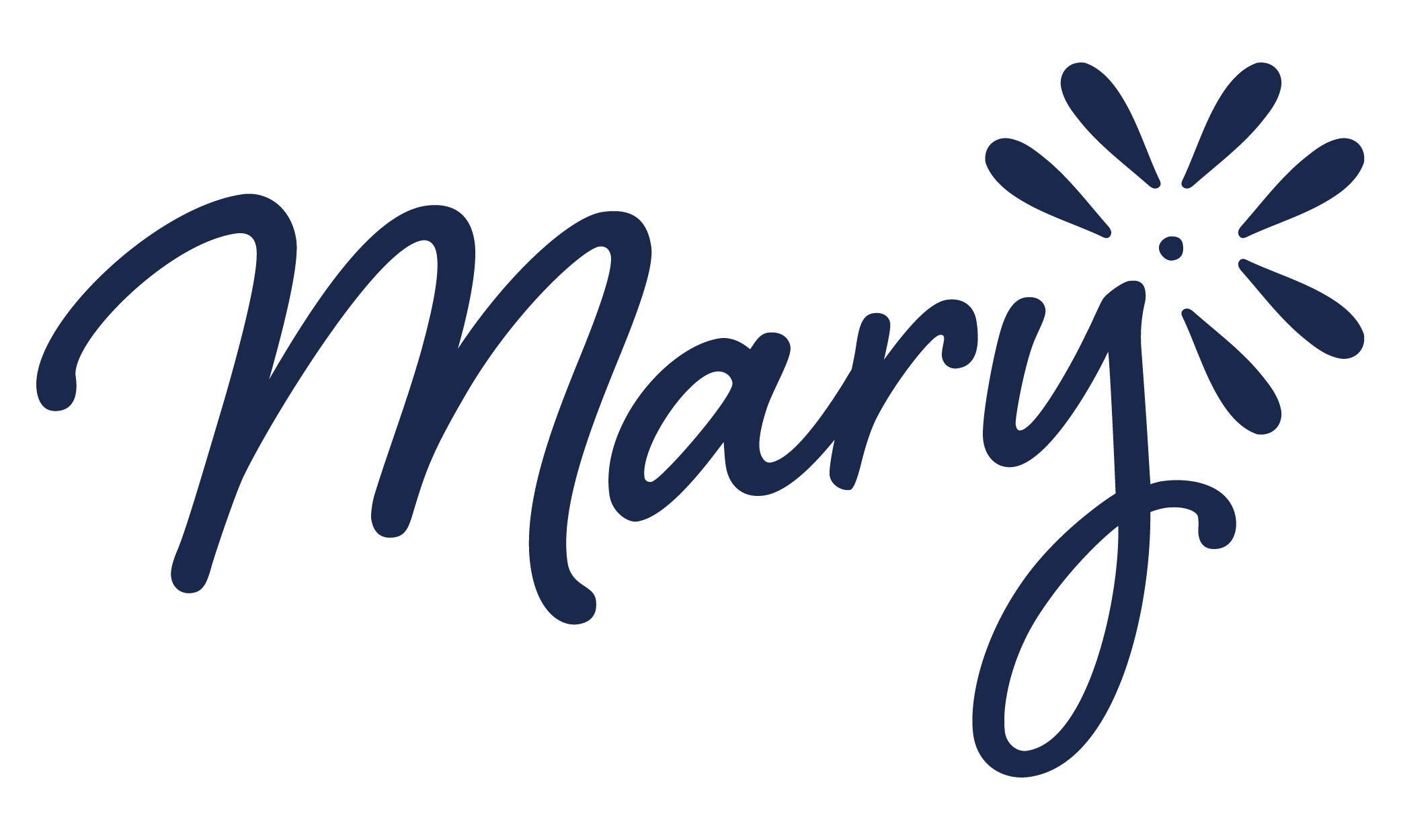 Mary Farrelly's, the founder of The NICU Translator, signature.