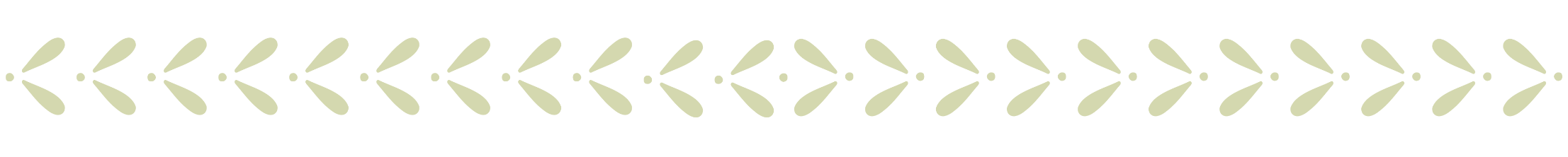 The NICU Translator border in mint green.