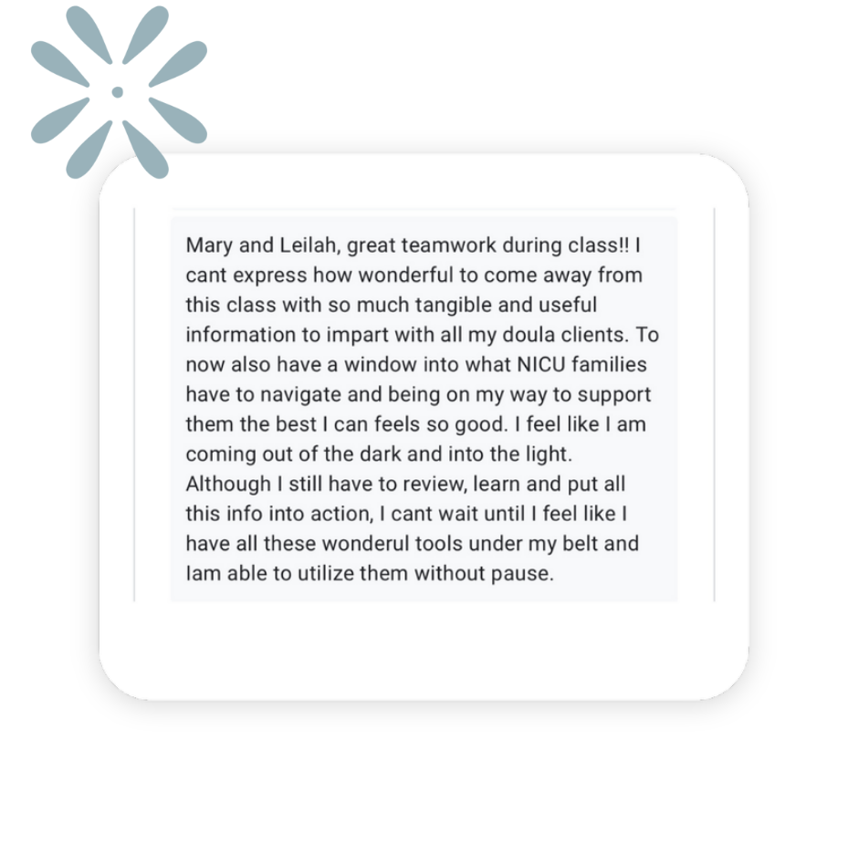 A positive review about Mary Farrelly's Navigating the NICU for Doulas course on The NICU Translator website.