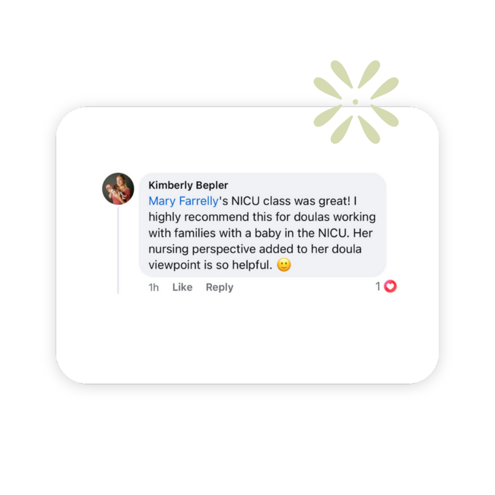 A positive review about Mary Farrelly's Navigating the NICU for Doulas course on The NICU Translator website.