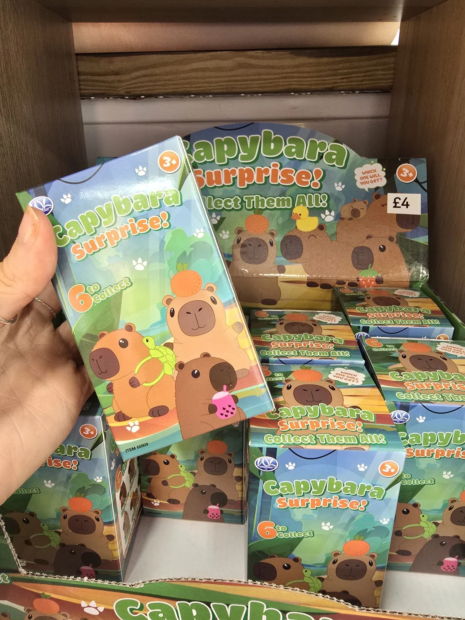 Capybara Surprise Figure