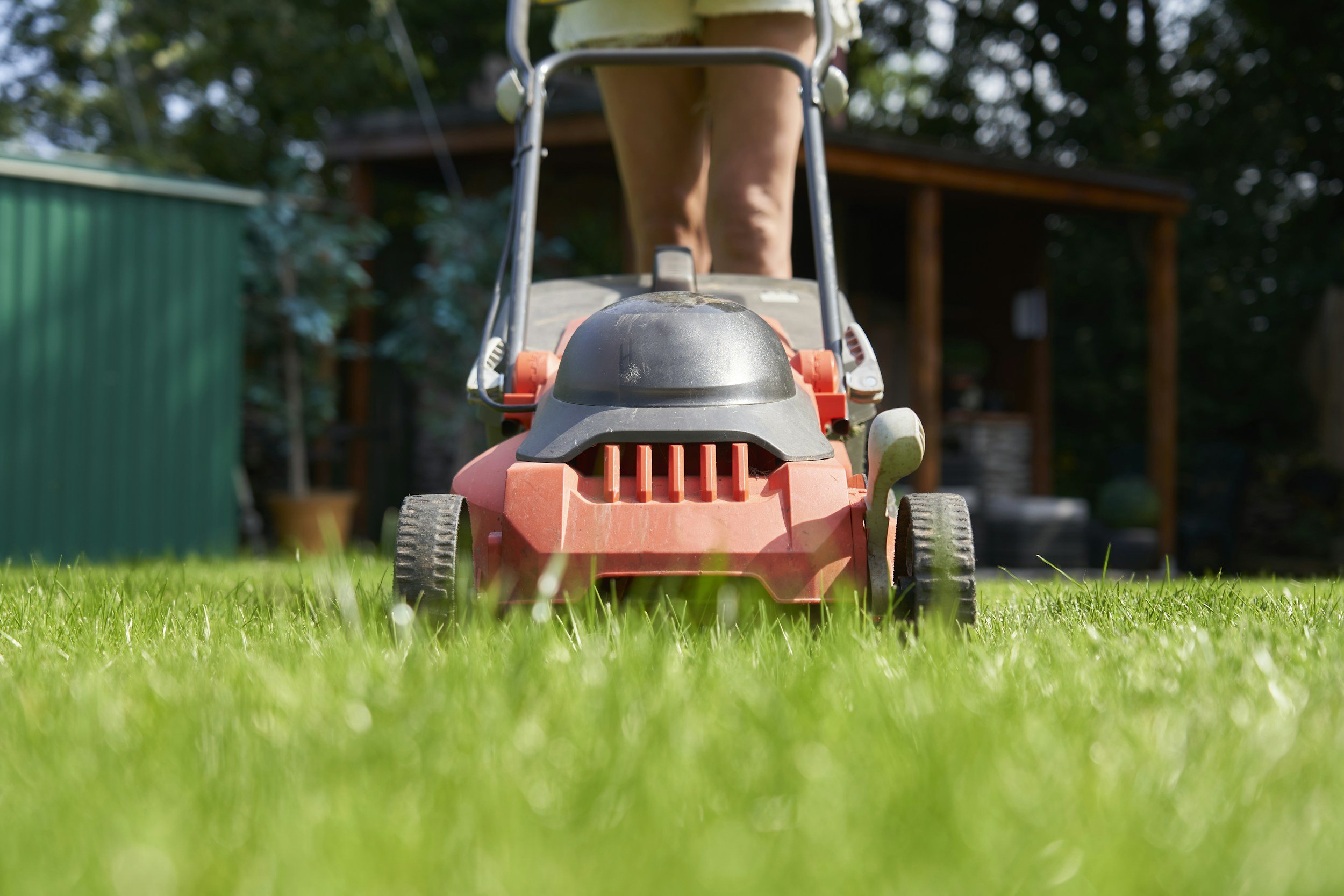 Maximize Your Lawn’s Potential with Better Mowing Habits