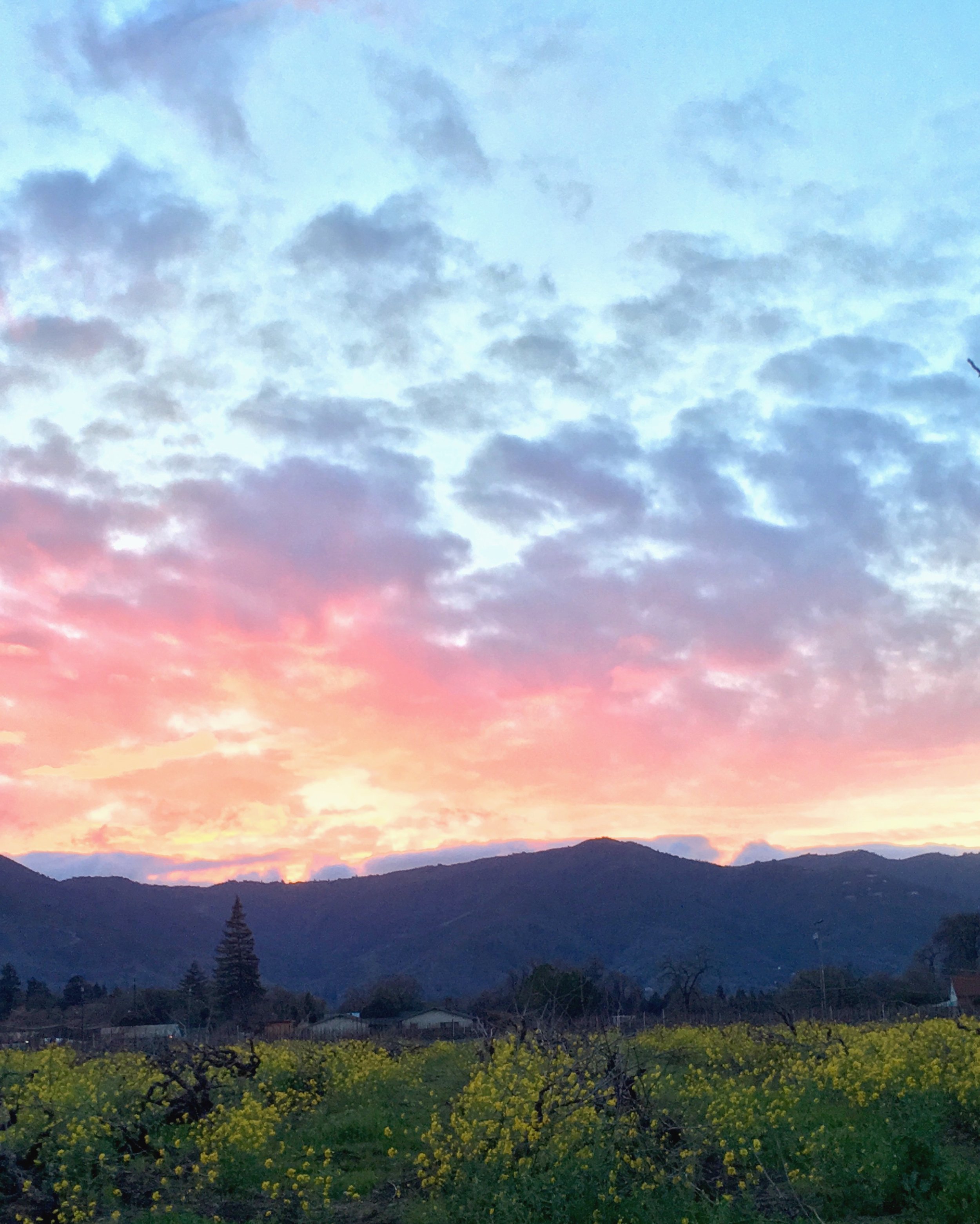 Sunset 8x10.jpg