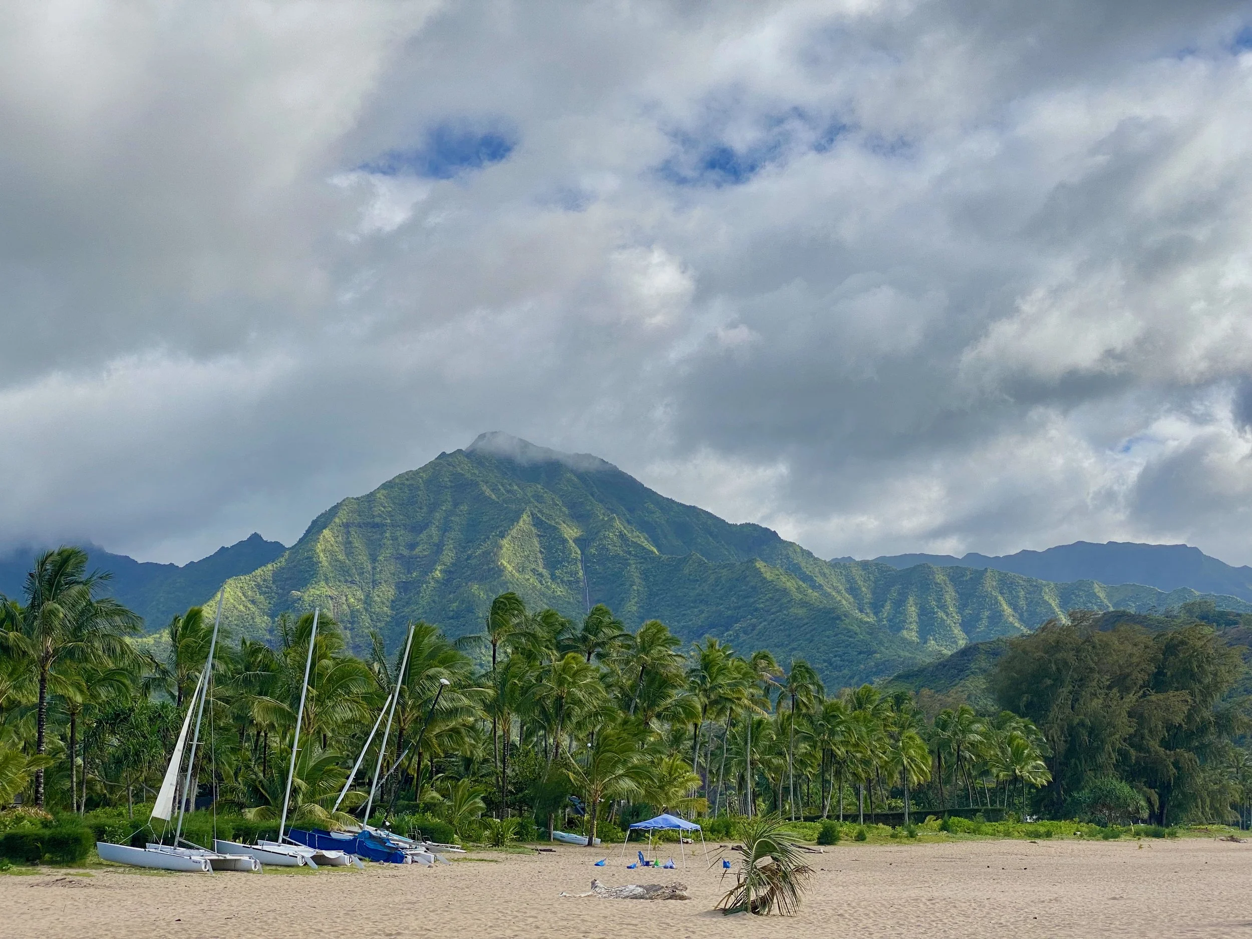 Kauai Mountain 16x20.jpg