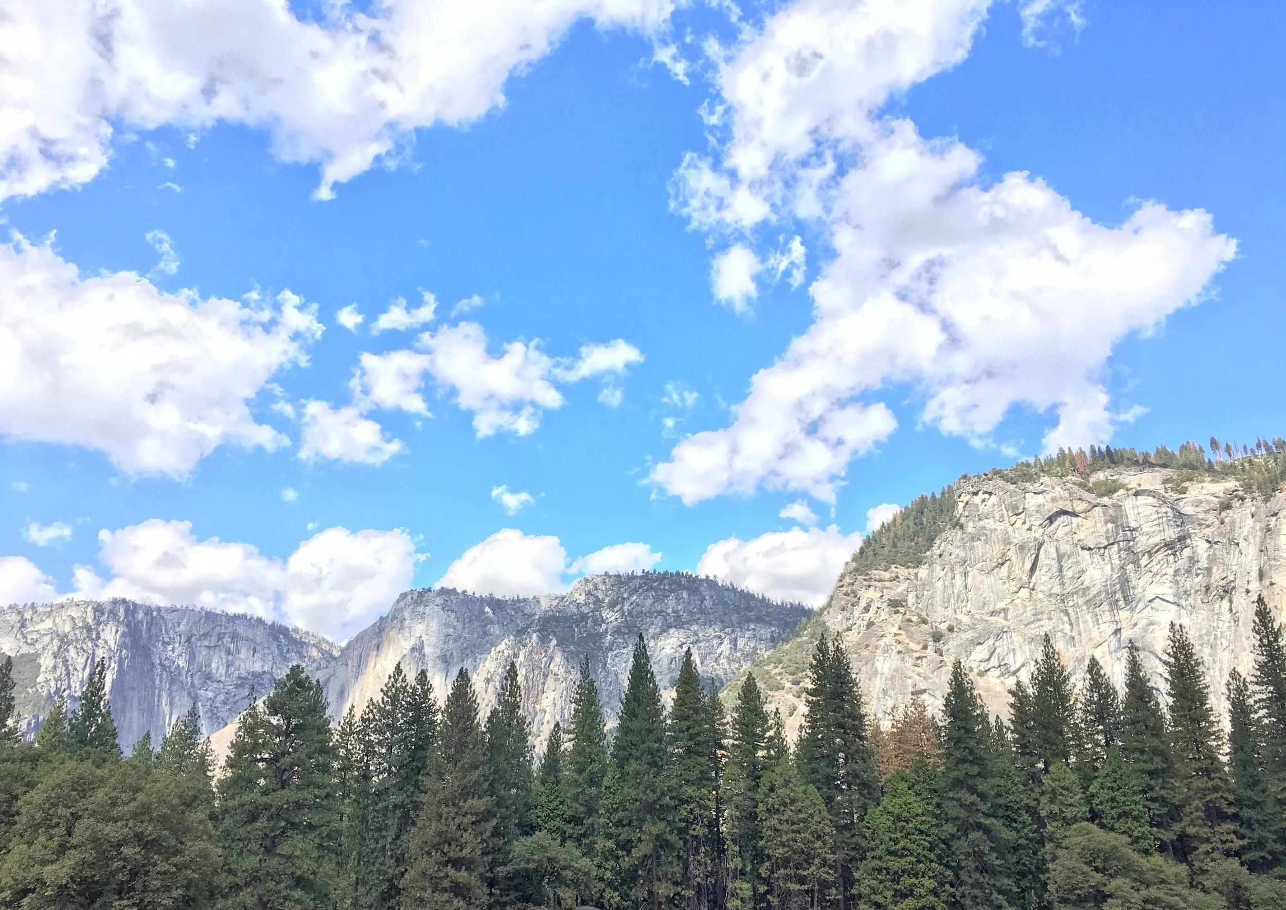 Yosemite 8x10.jpg