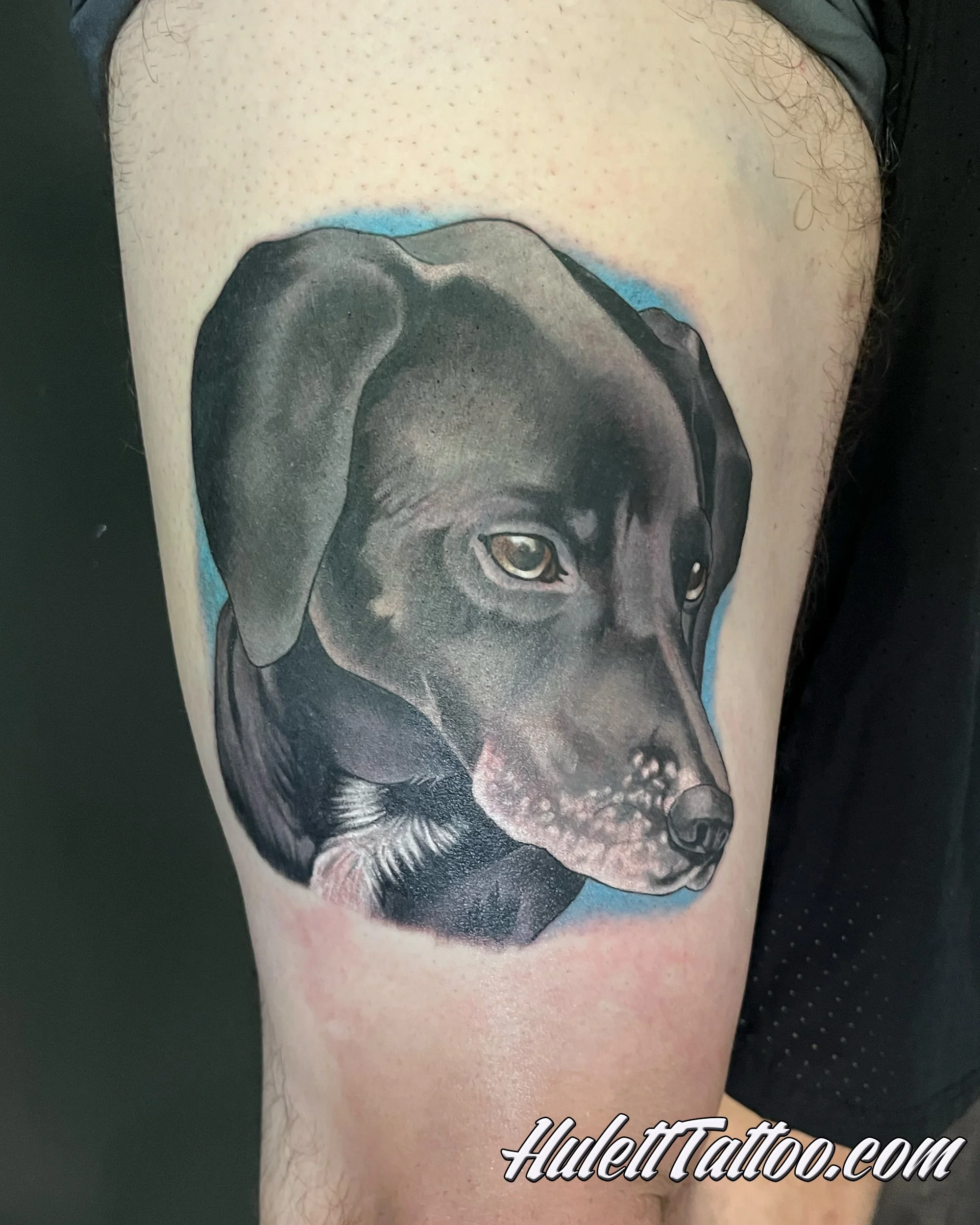 Tattoo of a black and gray dog portrait.