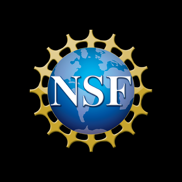 NSF_4-Color_bitmap_Logo_black.png