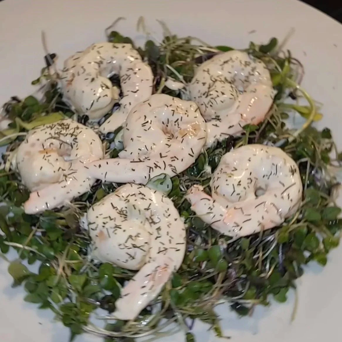 Shrimp Salad