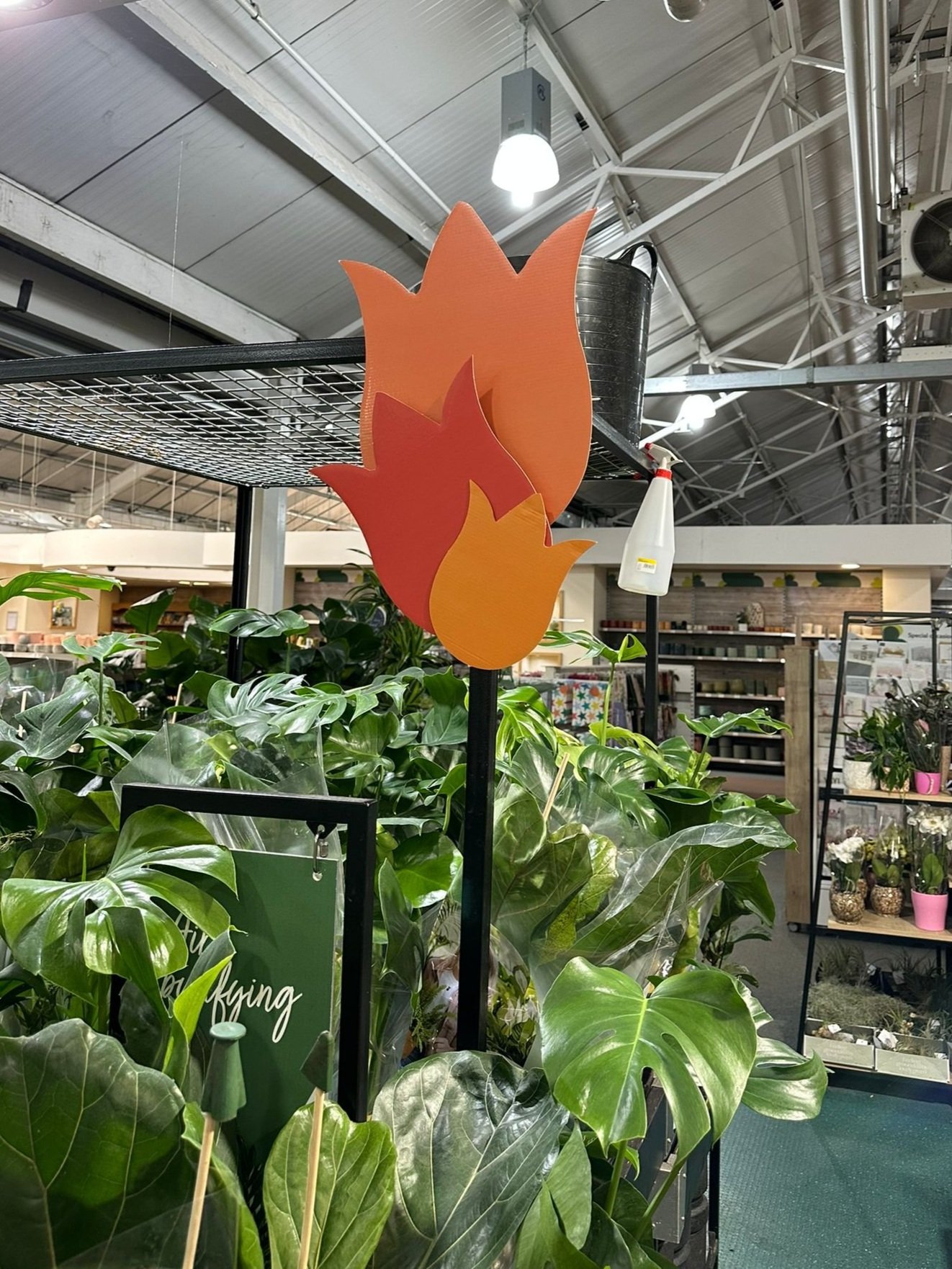 Display of colorful potted bromeliads and other plants inside a gardening store, with a sign indicating it is the 'Houseplant of the Month.' Another section features kids' gardening tools and supplies, with a blue wheelbarrow and various gardening kits and tools on display. A large, bright sign reads 'Hello Sunshine!' promoting summer-themed garden items at Dobbie's garden center.