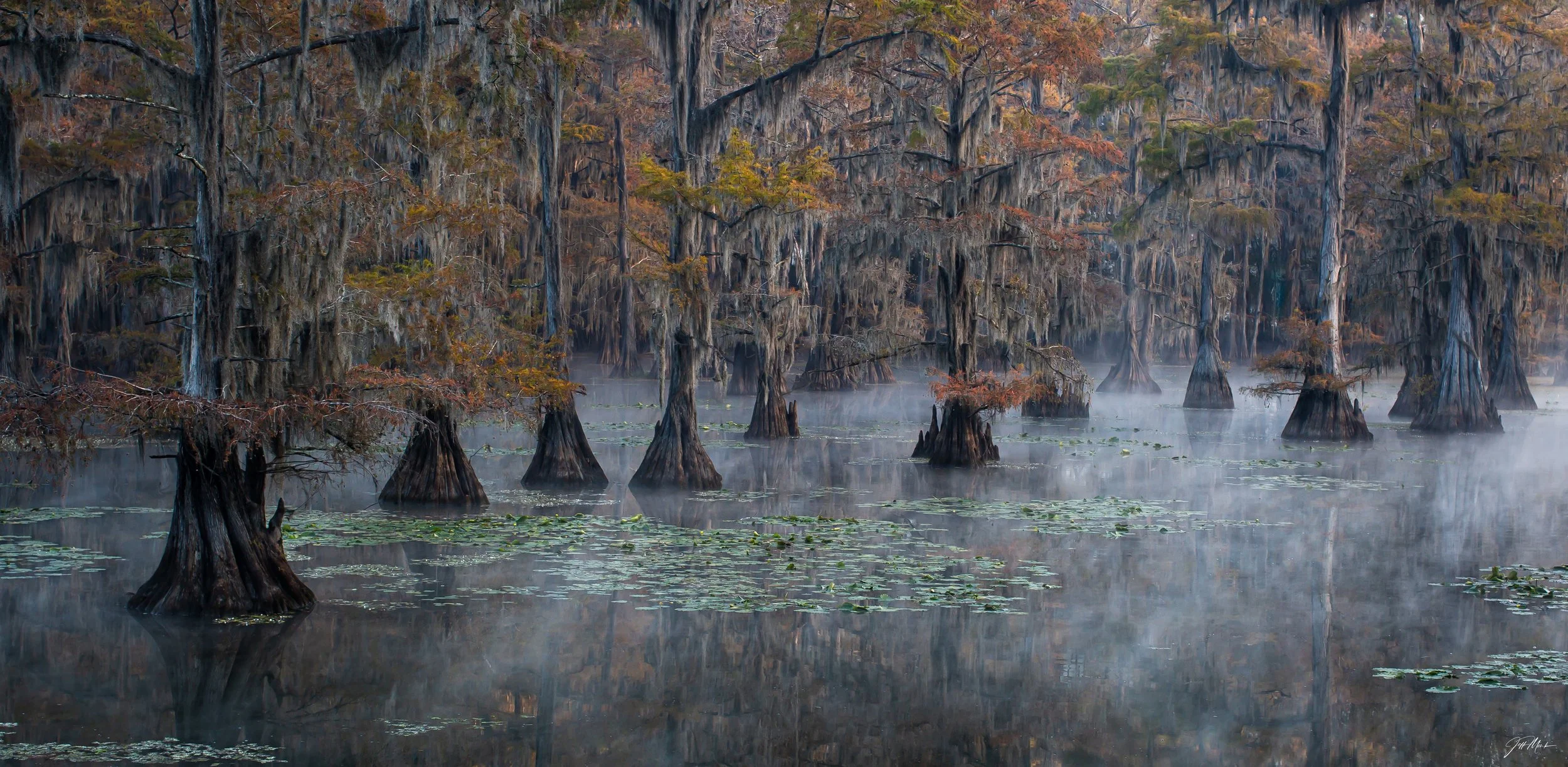 REFLECTIONS OF FALL-Caddo Lake State Park, Karnak, Texas, USA