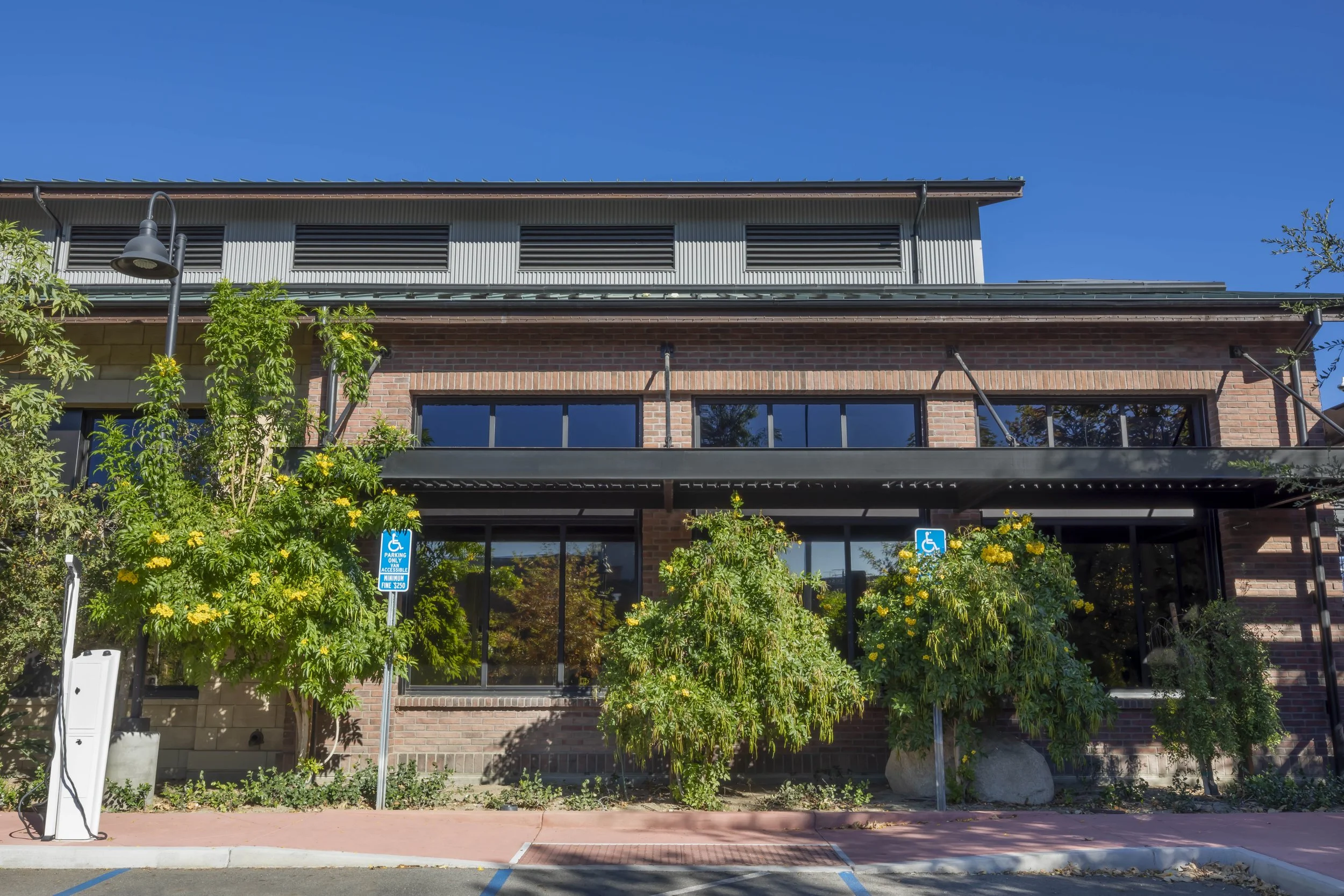 A brick building with large tinted windows, surrounded by trees with yellow flowers, a street lamp, and parking signs for disabled parking, under a clear blue sky.