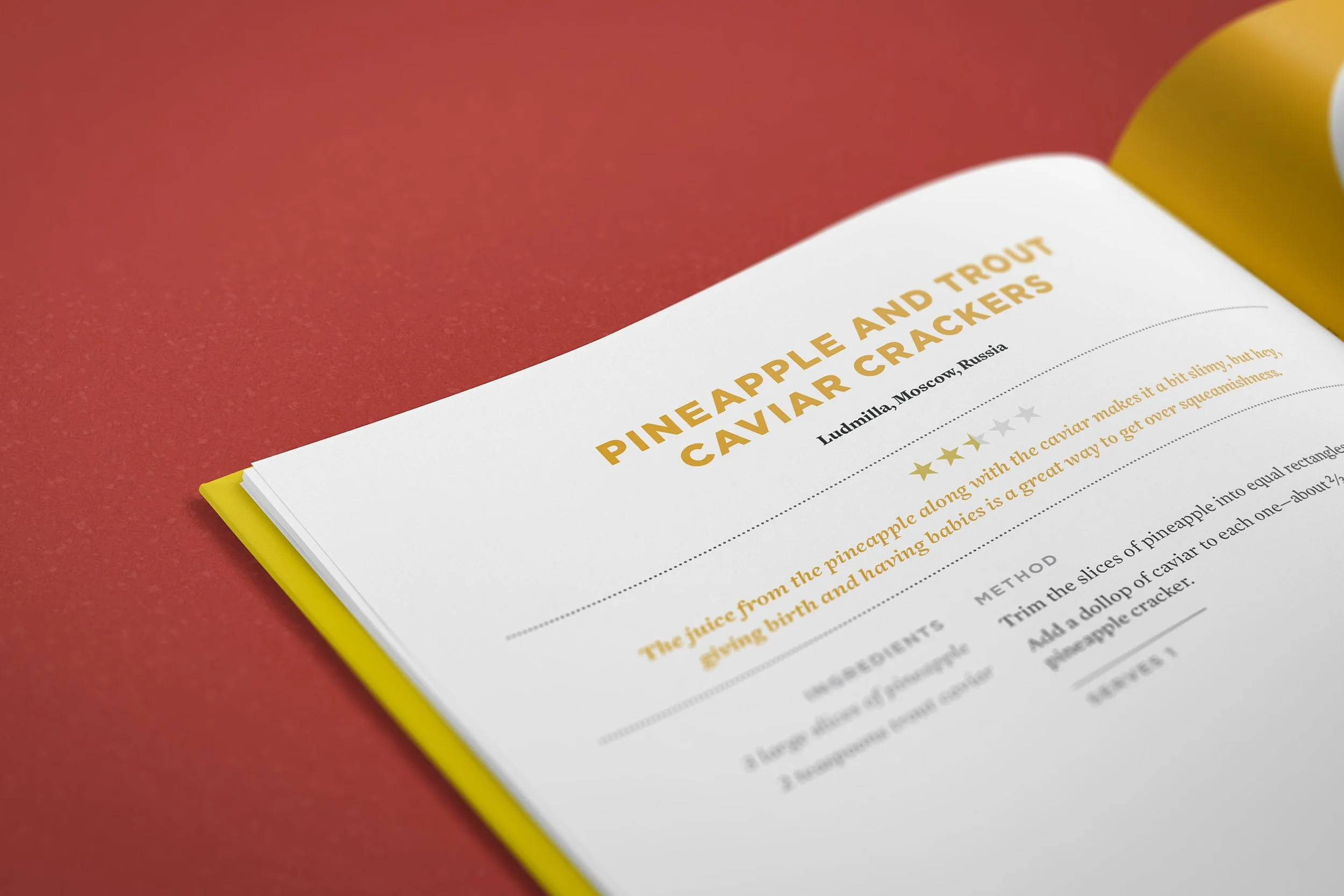 Page Detail1 copy.jpg