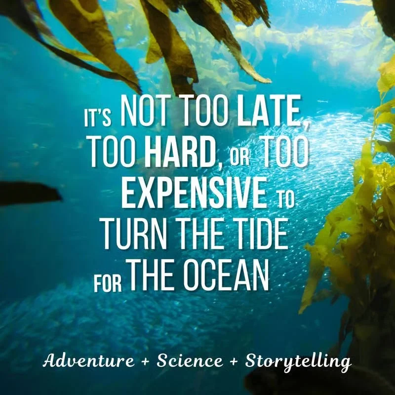 Sea Changes - hosted by Kat Bruce