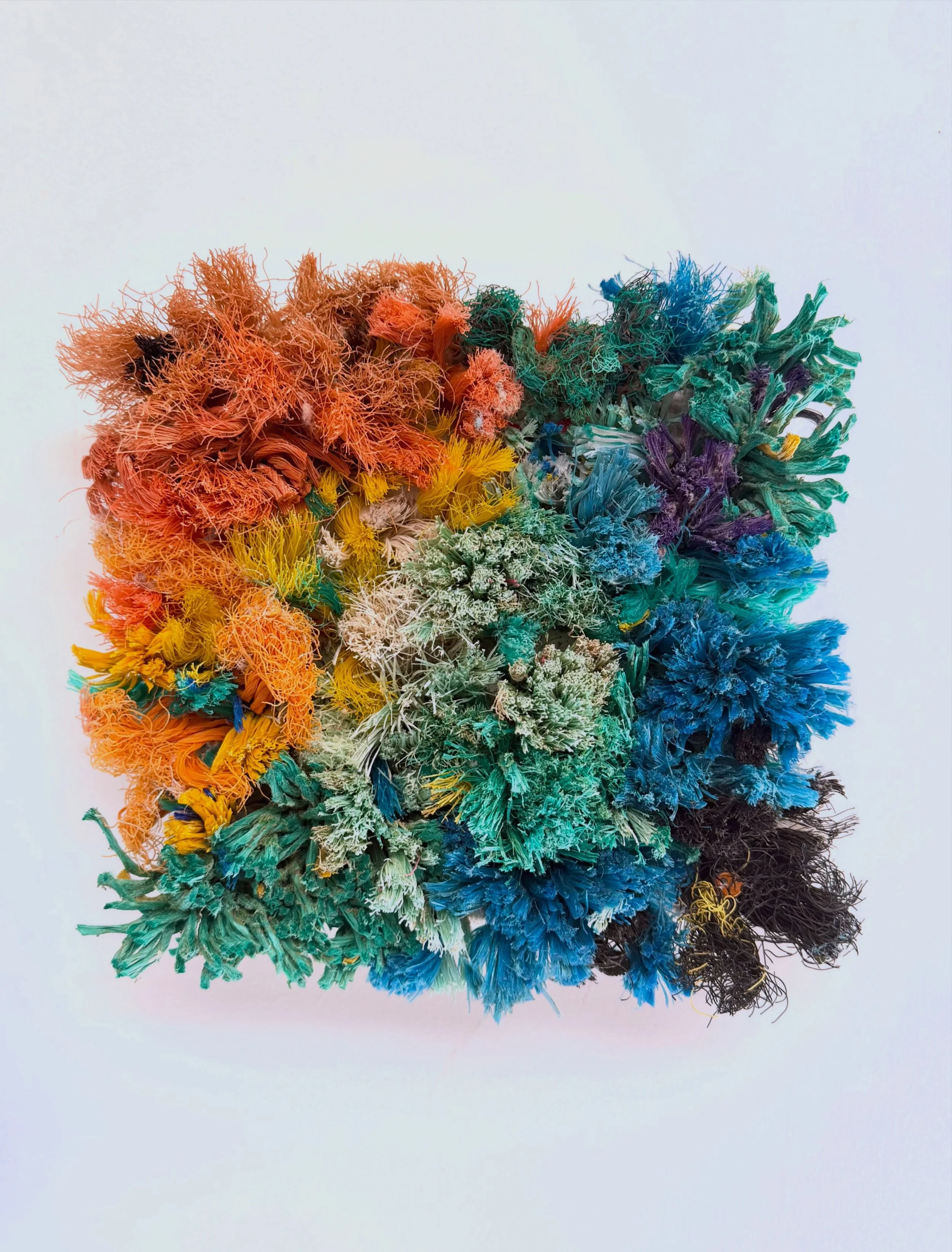 Scottish Palette 2, 20 &times; 20 cm, Part of The  Maremnants series, made 100 % with trashure: ghost gear recovered through @project.onewave, led by @paulwatsonfoundation.uk .

An abstract palette of the colours found beneath our seas &mdash; made w