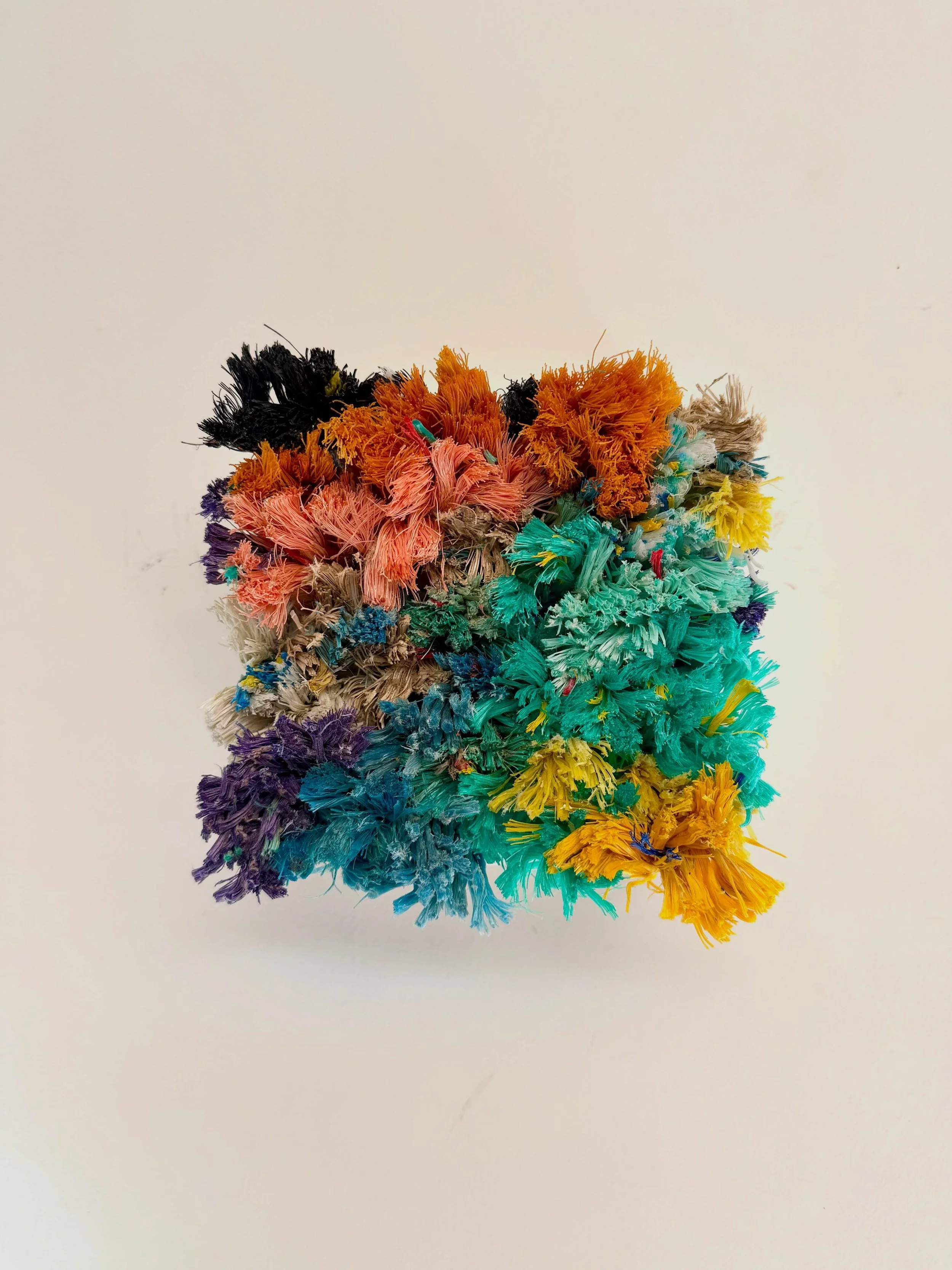 Scottish Palette 3 | 2026 | 15x15x10cm

Part of  The Maremnants series, made 100 % with ghost gear recovered through @project.onewave led by the @paulwatsonfoundation.uk. Special thanks to @amybritton_brittonscotland @sustainably.spectrum @feathers_t