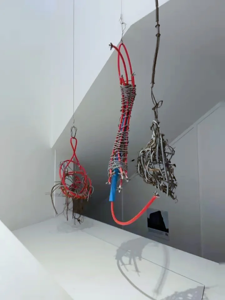 Canary Dwarf (Nesting) is now in semi-permanent exhibition at the Building Centre &mdash; a beautiful proof of what can happen when shared values become shared practice.

Made in 2017 from 100% reused discarded electric cables, wires, and nails from 