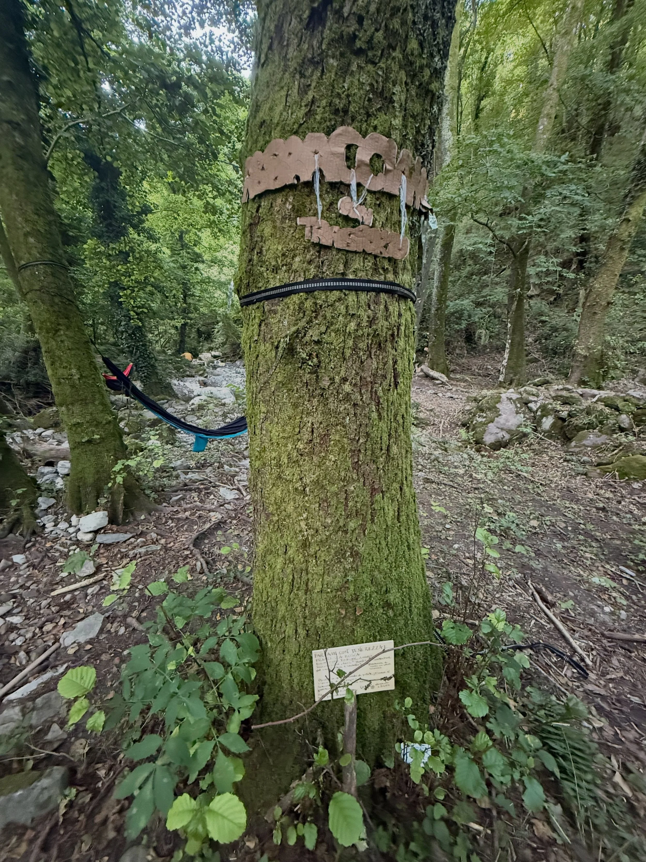 VerdeArte 2026 residency: una settimana off‑grid nello splendore del Mulino di Stiappa, in Toscana.

Focus su 5 elementi: giorno 2, dedicato al Legno.

PARLAMI CON TENEREZZA E&hellip;
[abbracciami con trasporto]
Installazione 100% &lsquo;Mondizia: co