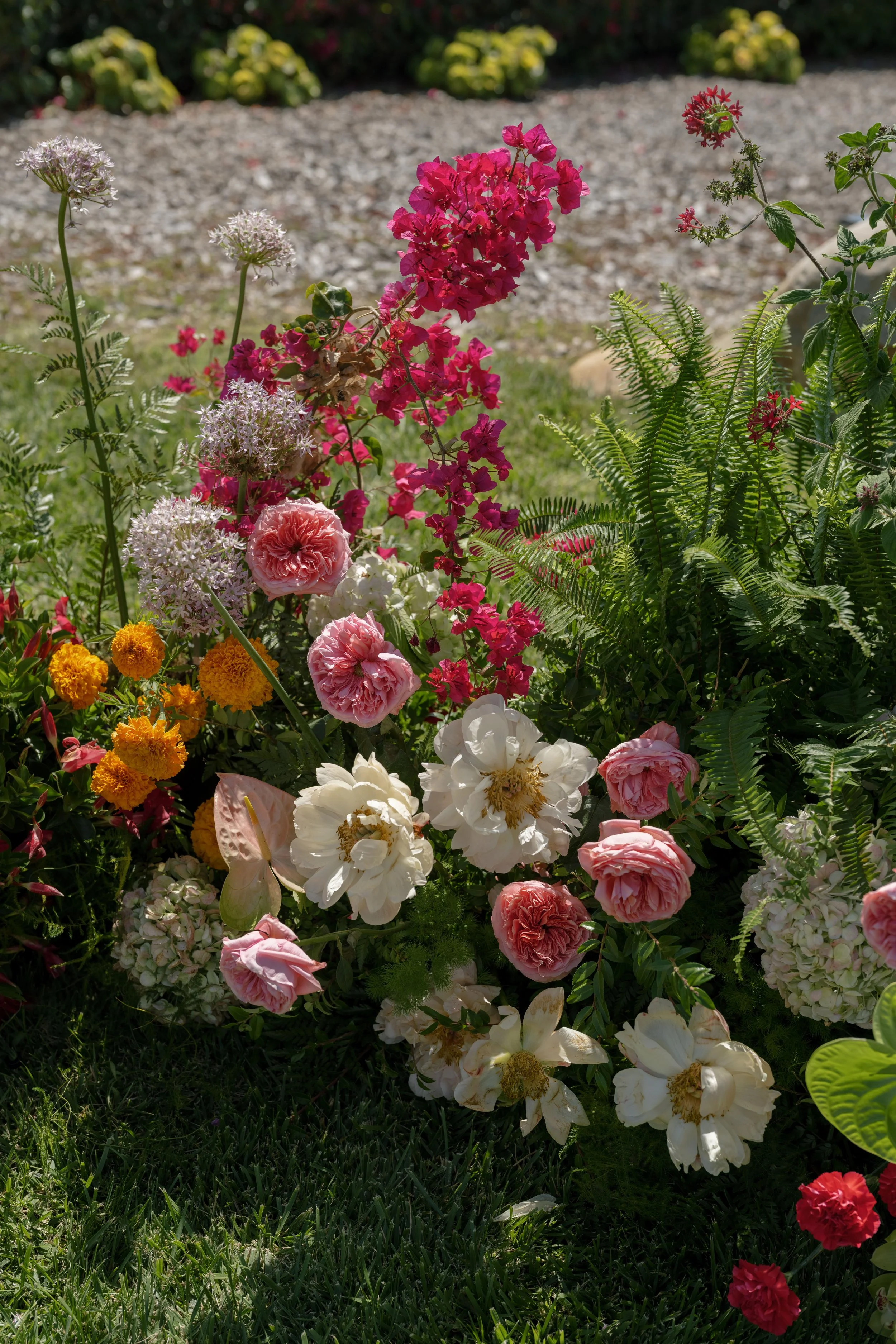 A colorful garden with a variety of blooming flowers including pink, white, yellow, and red flowers, surrounded by green grass and fern foliage, with a gravel path in the background.
