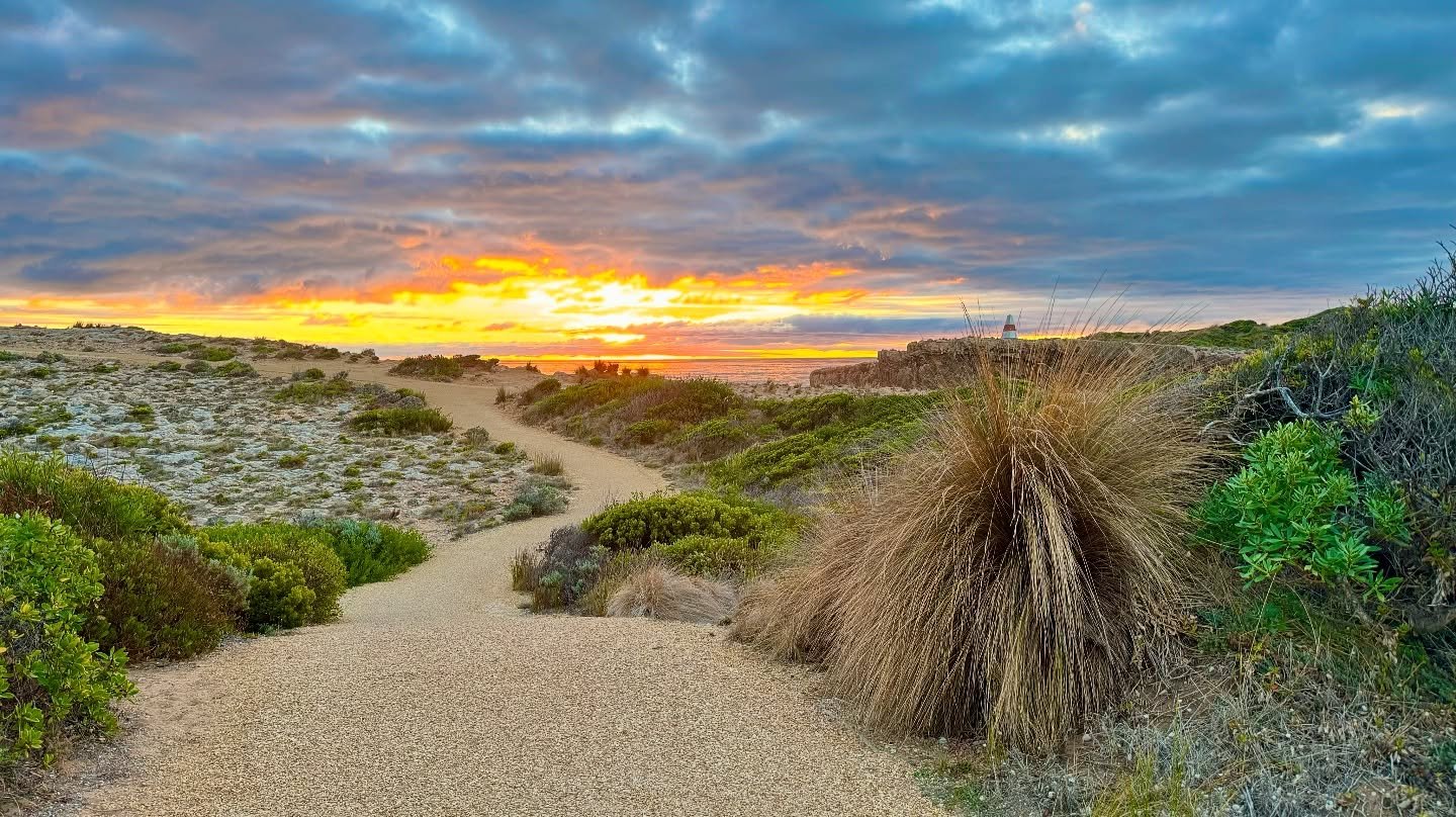 I sought new horizons Down Under and they didn&rsquo;t disappoint. I&rsquo;m currently editing my next video about moving to Australia. 
🇦🇺 🦘🐨🕷️☀️
#australia #travelaustralia #newhorizons #newbeginnings #downunder #adventureaustralia #landscapes