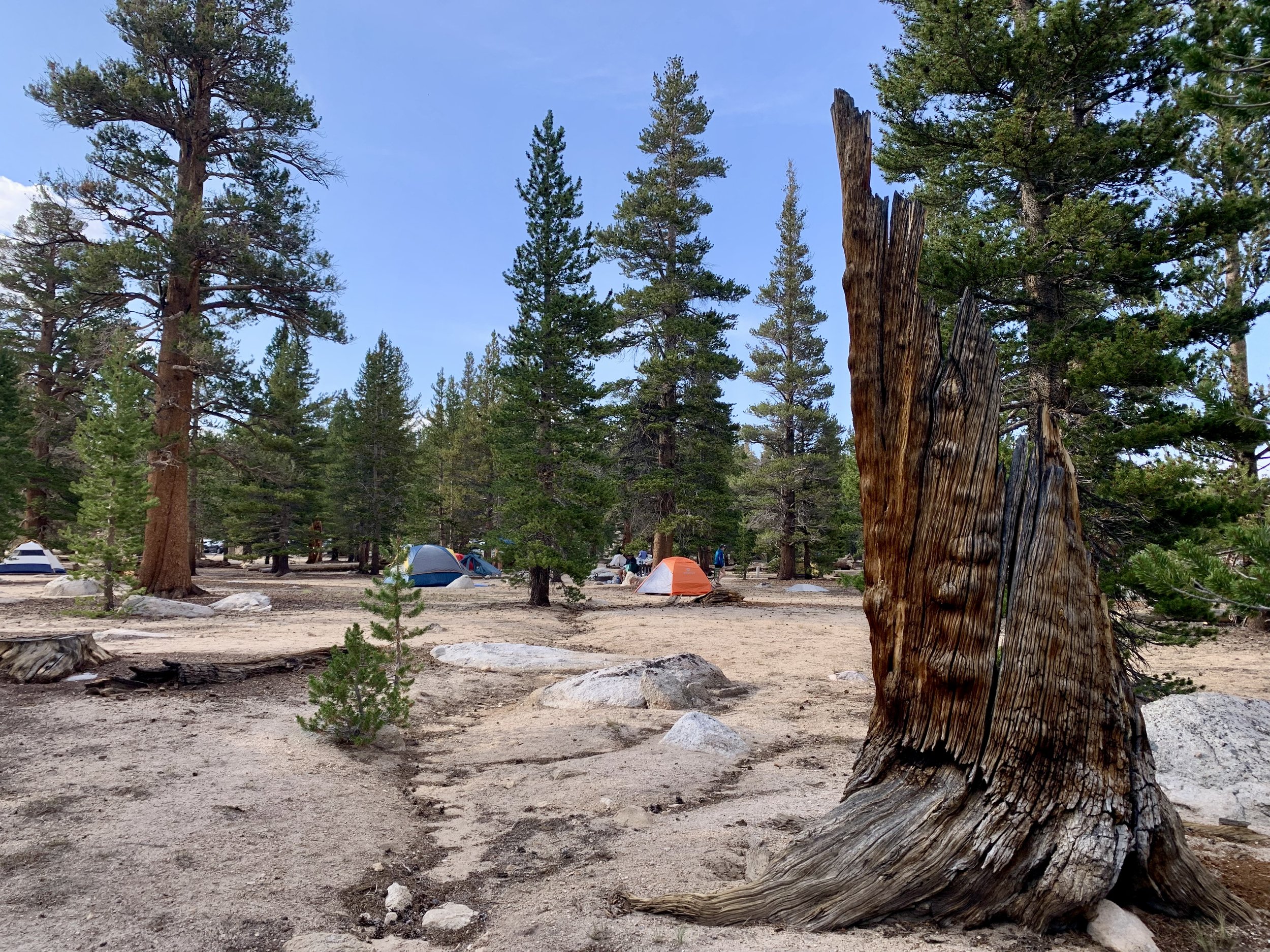 USA - California Camping.2.jpeg