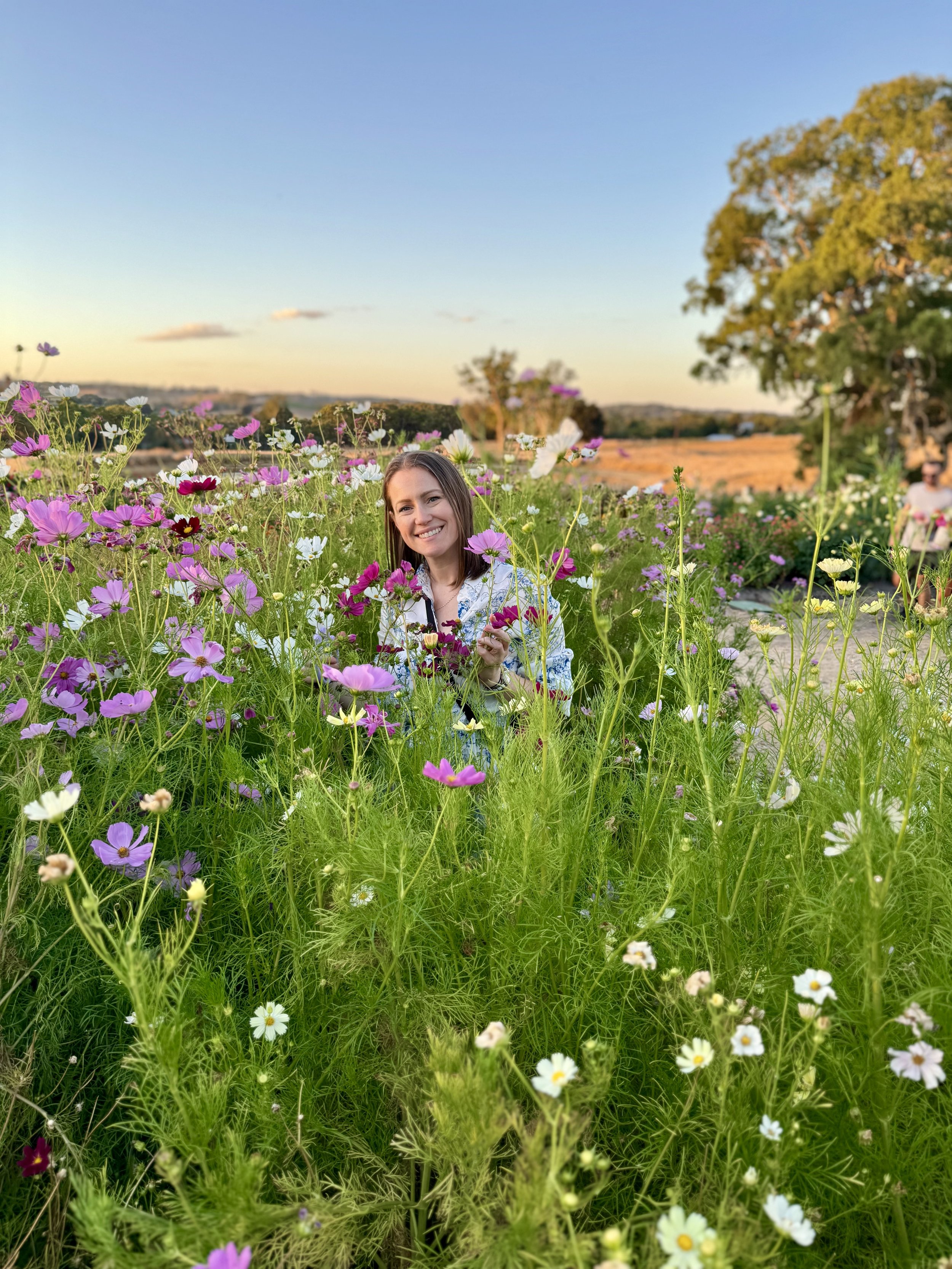 AU - Flower Fields South Australia.jpeg