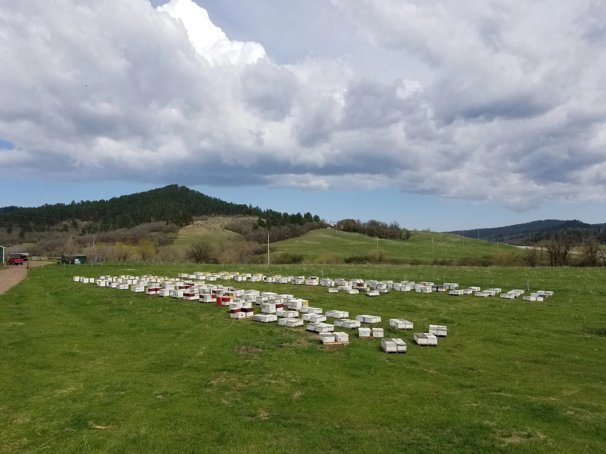 R.G. Bees Raw Honey Flavored Honey Beulah, WY