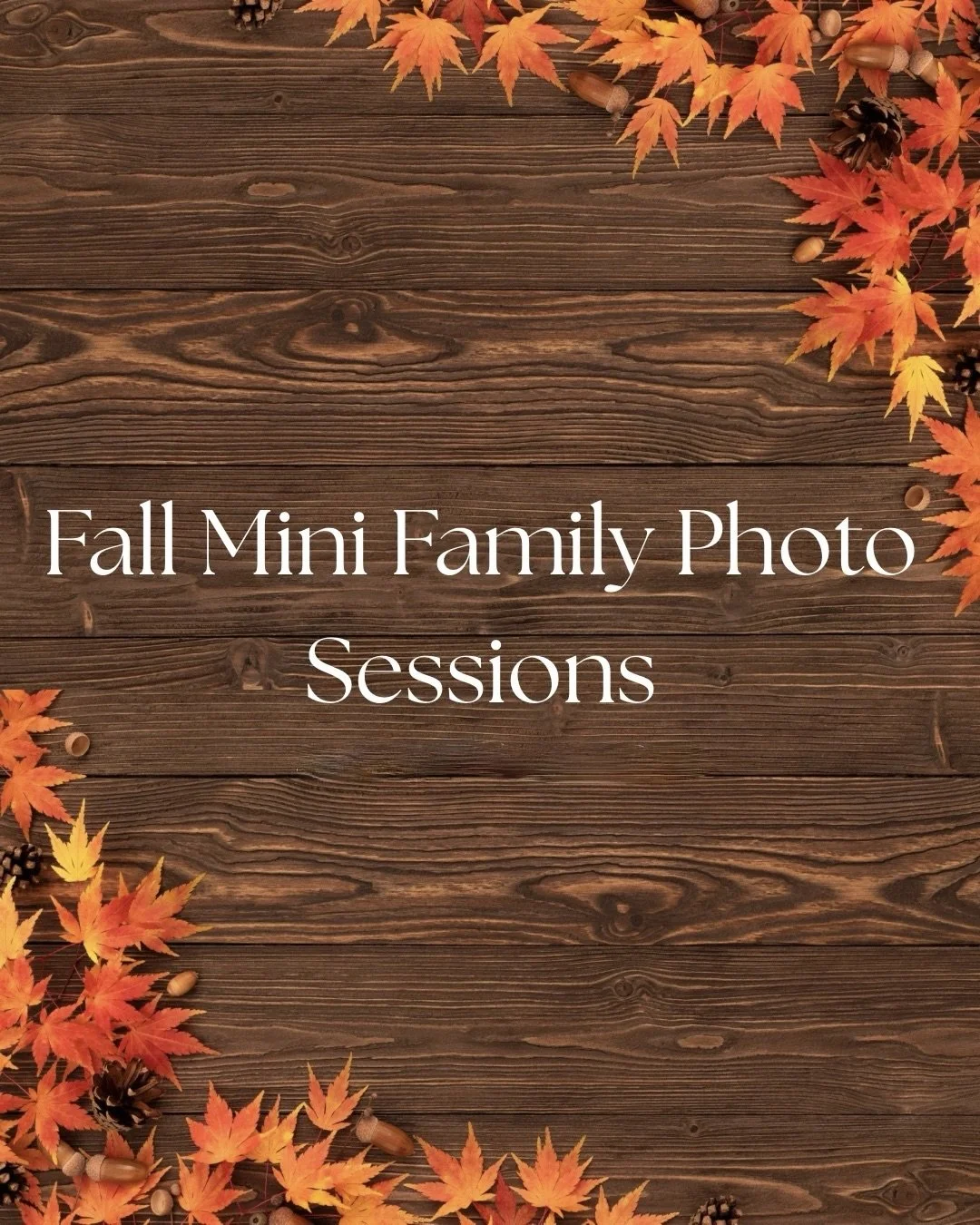 Fall Mini Family Photo Sessions