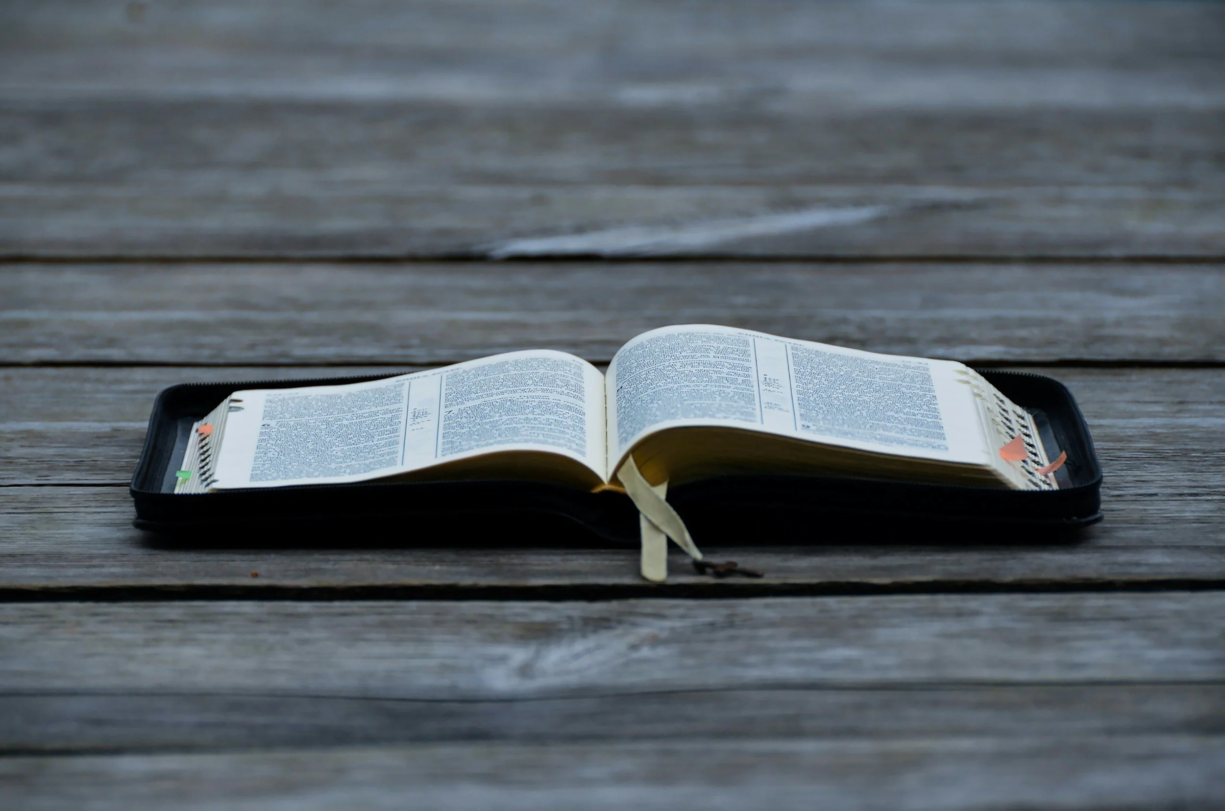 Every Chapter, Held and Healed: Why I Pivoted The Alternative Midwife