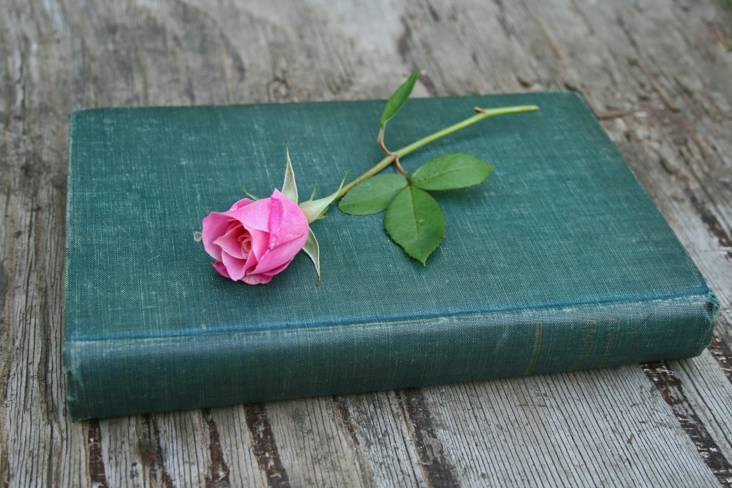 Being Heard, Being Seen: The Power of Telling Your Story
