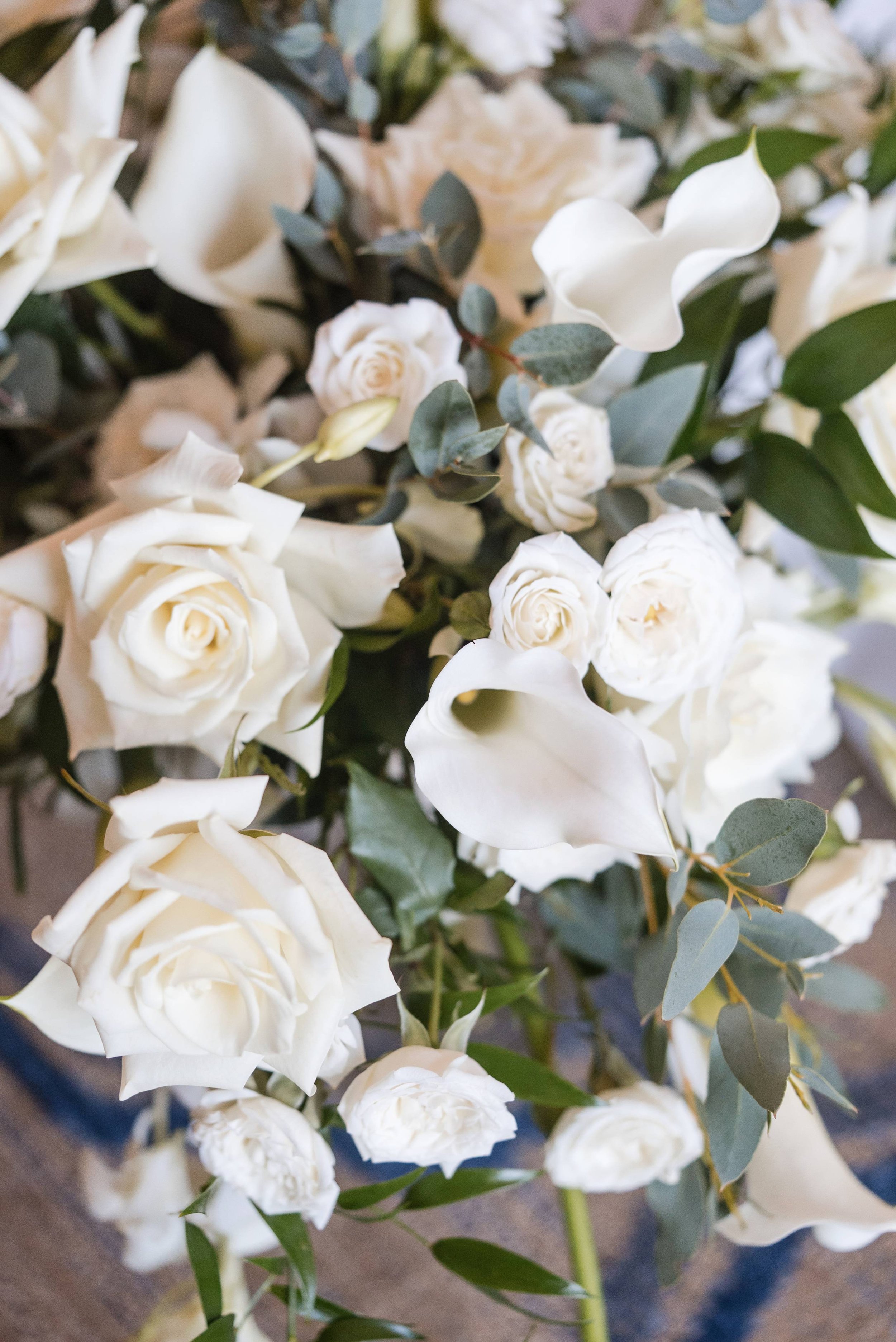 Photo Credit: Paul F. Gero Photo + Film