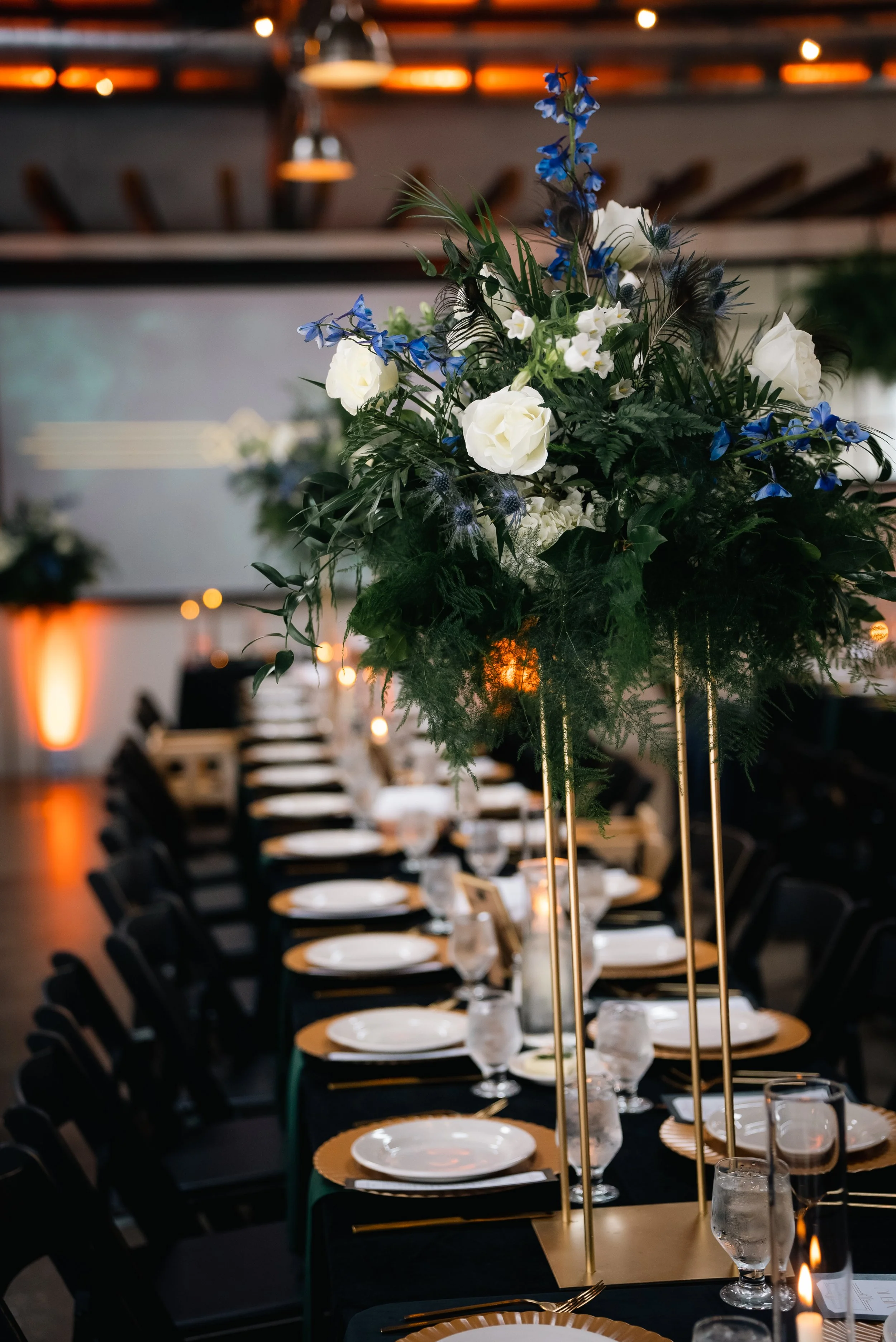 Photo Credit: Brad Ryan Photography